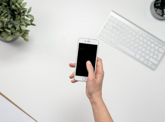 White work space with plant, keyboard and person holding smartphone for setting up SEO consultation
