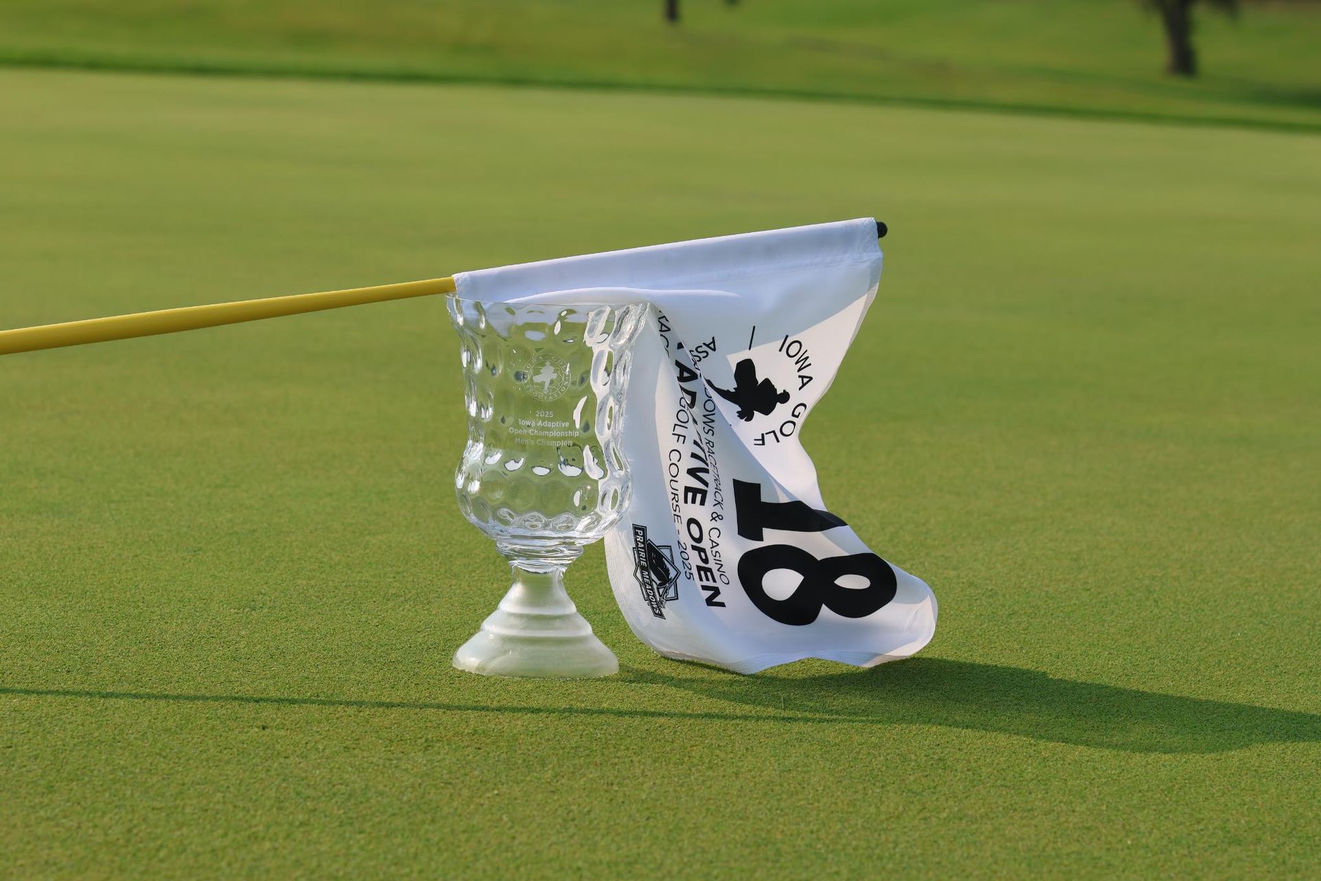 Two people are playing golf on a golf course.