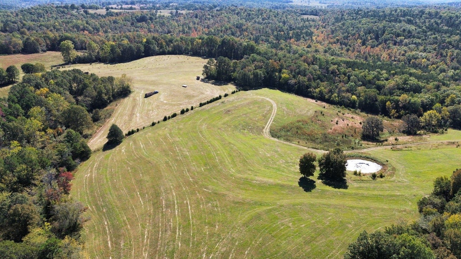 An aerial view of a lush green field surrounded by trees.