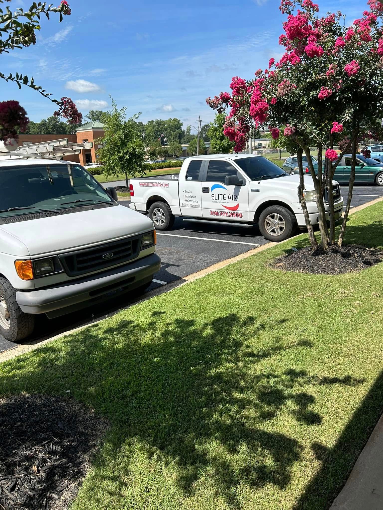 Parking lot with white pickup trucks, pink flowering trees, and a sunlit grassy curb.