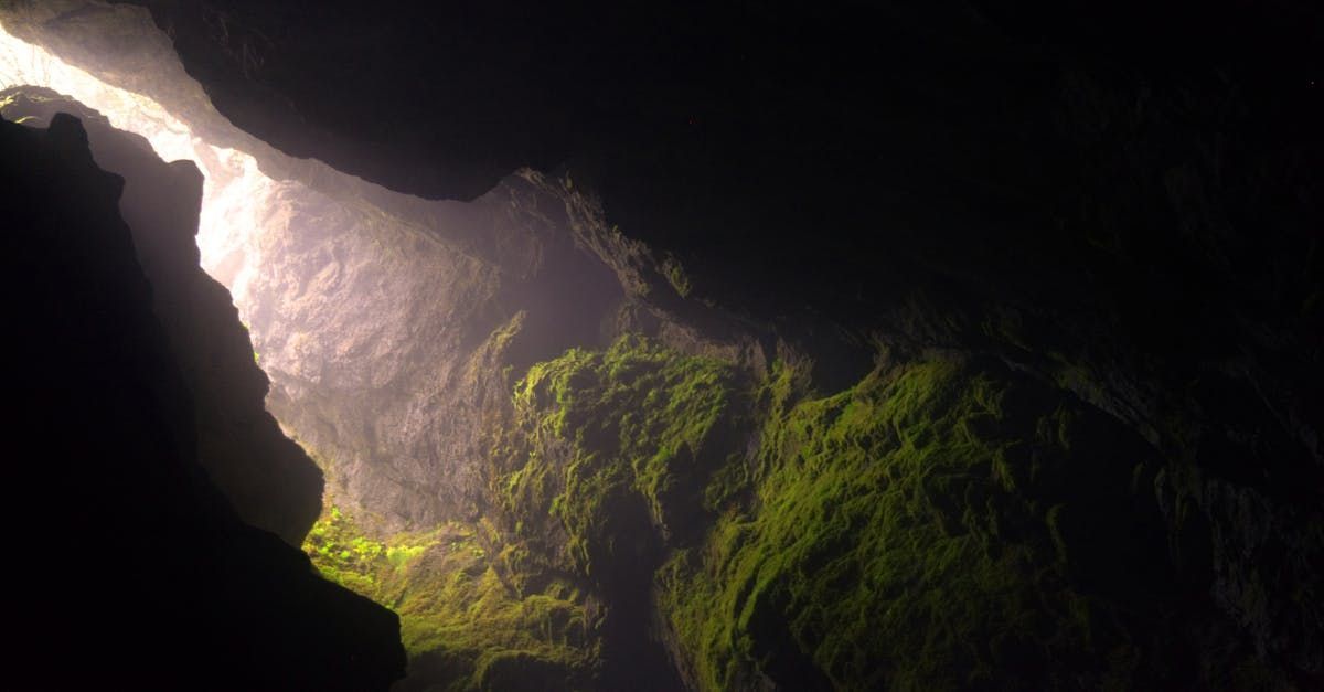 A sunlit cave interior with mossy green walls; light streaming in from the opening.