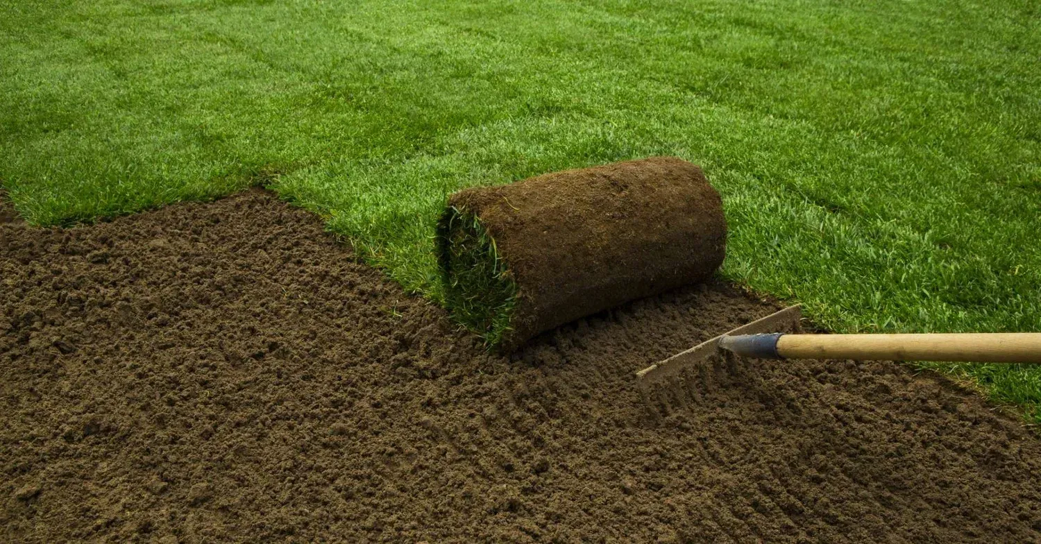 A roll of turf is being rolled on a lawn with a rake.