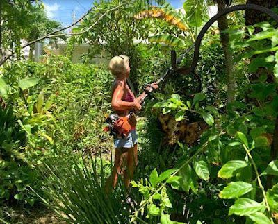 A woman is cutting a tree with a lawn mower in a garden.
