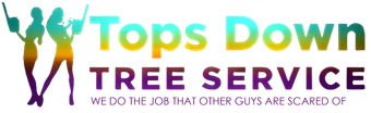 A logo for tops down tree service with a silhouette of two people