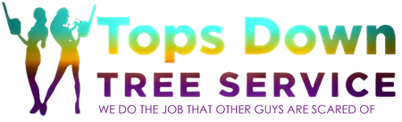A logo for tops down tree service with a silhouette of two people