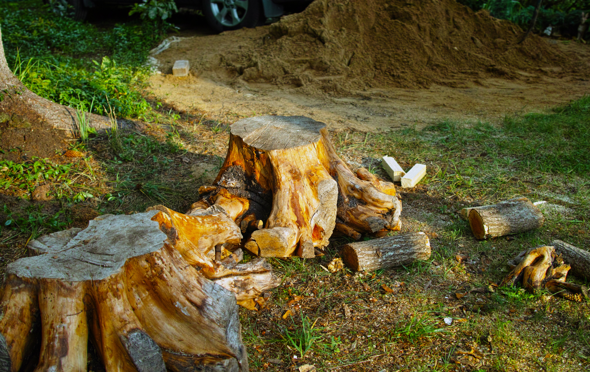 A pile of wood is sitting on the ground next to a tree stump.
