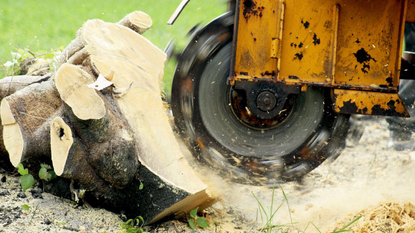 A machine is cutting a tree stump in the ground.