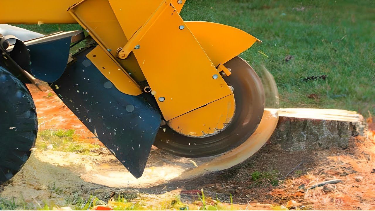 A yellow and black machine is cutting a tree stump.