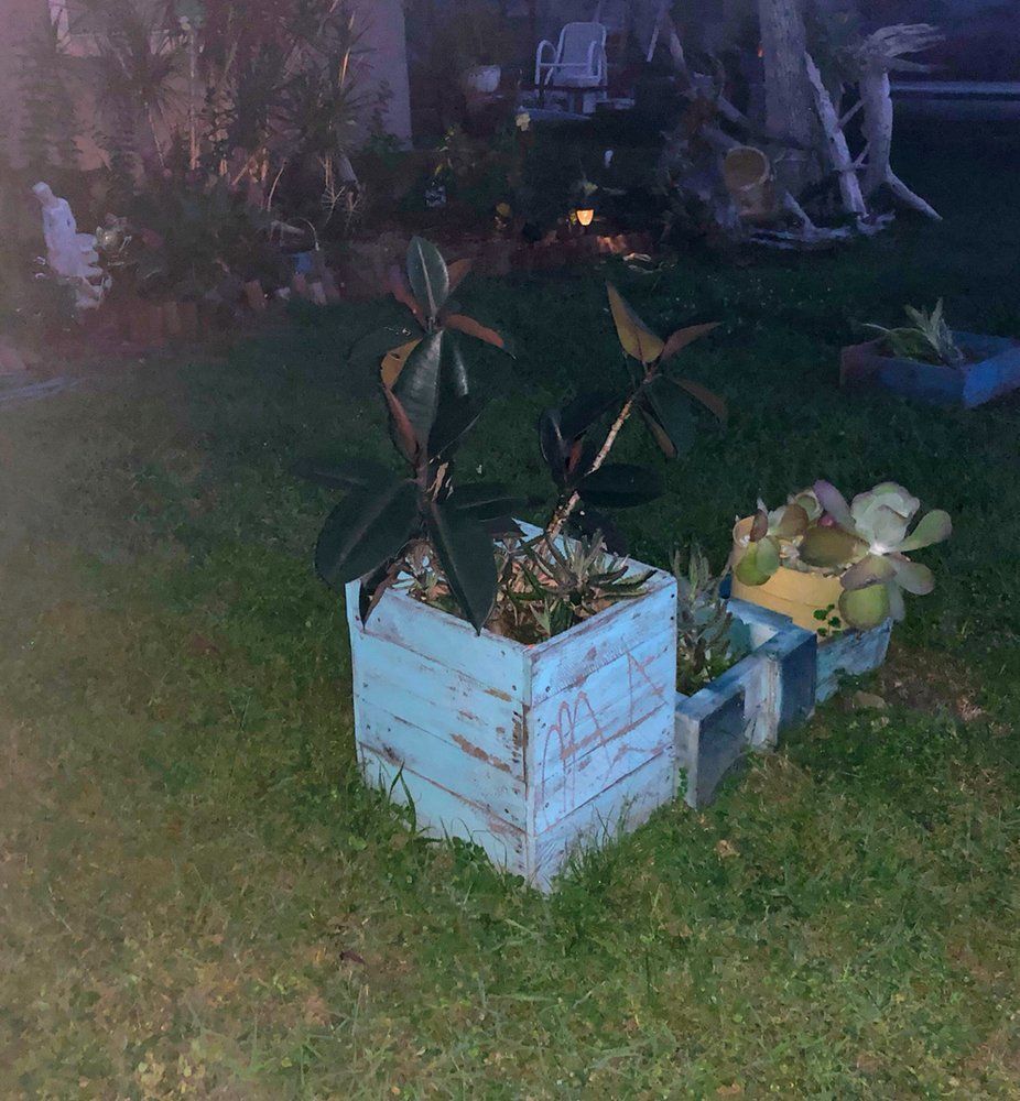 A blue wooden box filled with plants is sitting in the grass.