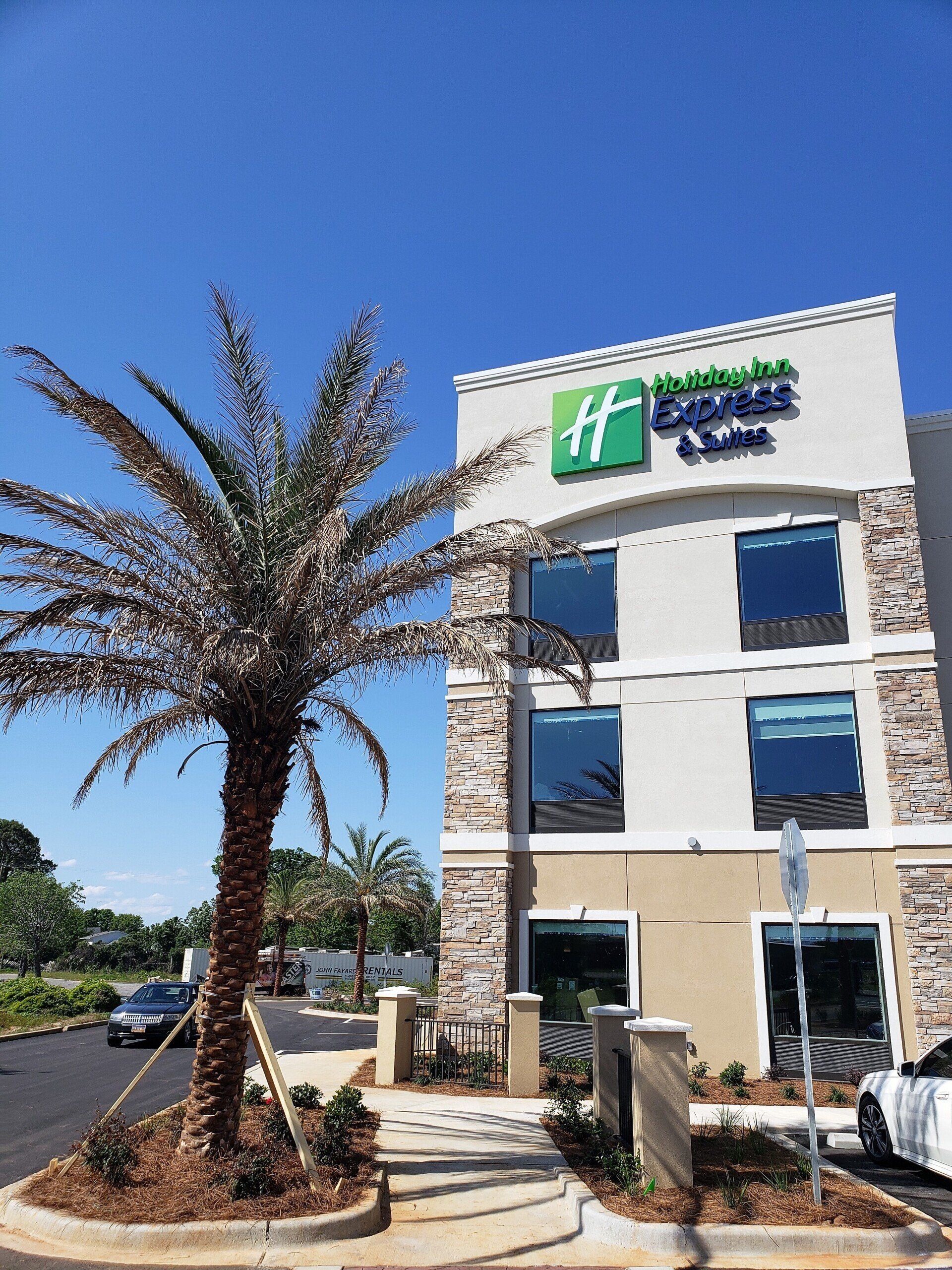 Hotel with Palm Tree — Houston, TX — Tax Savers / Cost Segregation Services