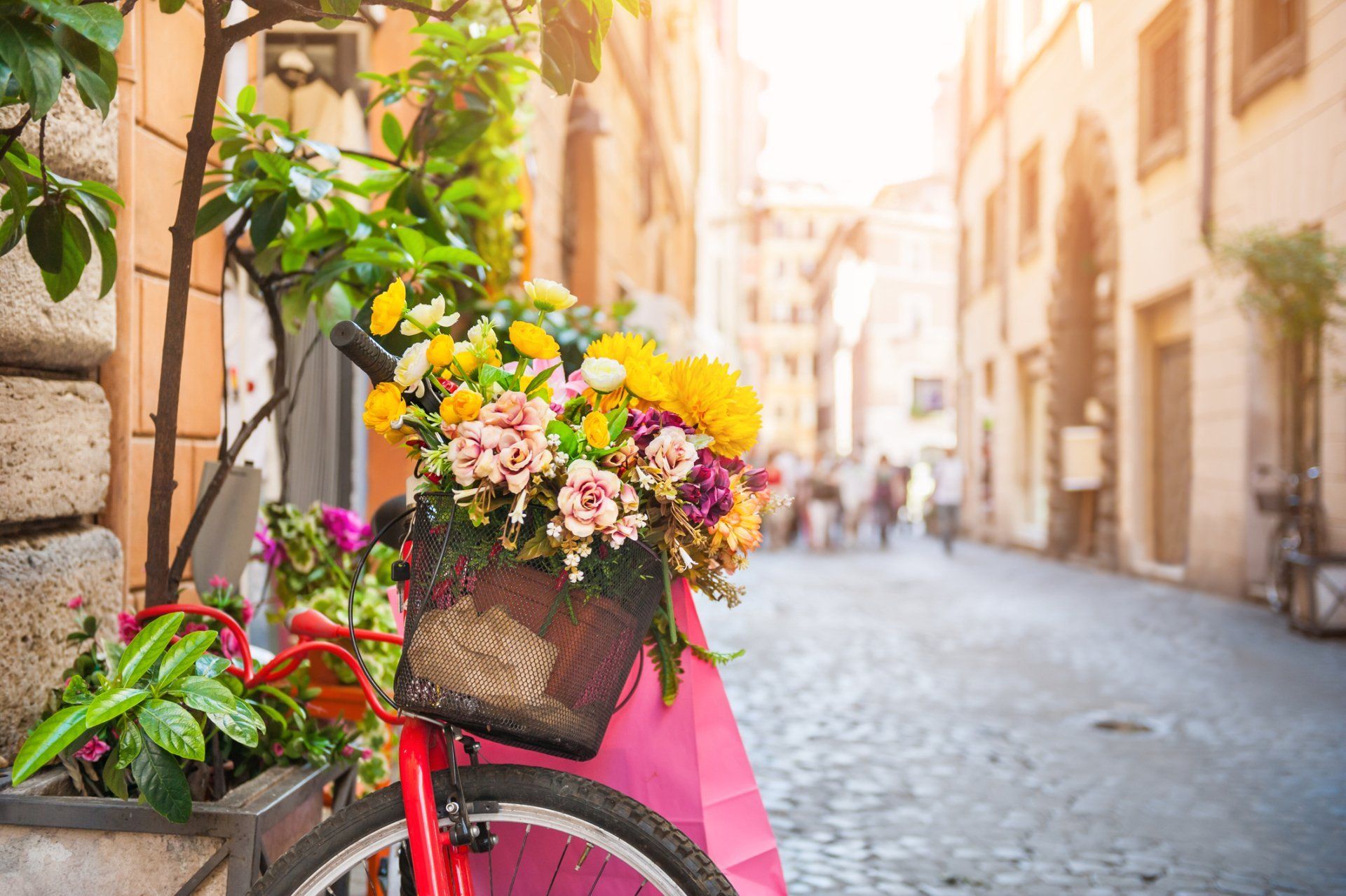 Wedding Bouquet — Flowers in Bike in Dallas, Texas