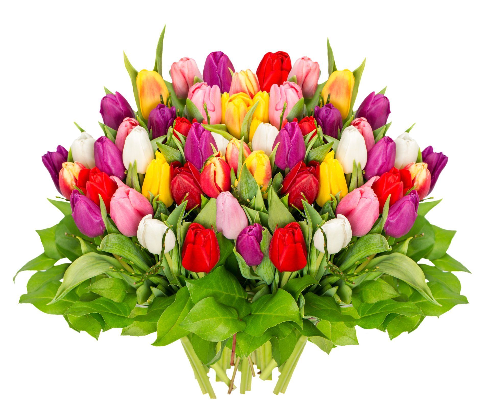 Florist Delivery — Tulips Bouquet in Dallas, Texas
