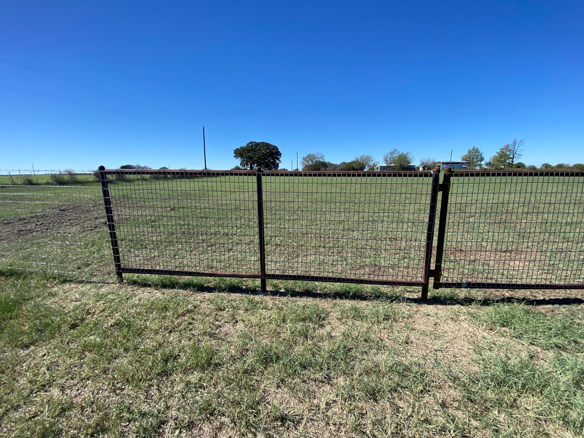 A fence surrounds a grassy field with a blue sky in the background.