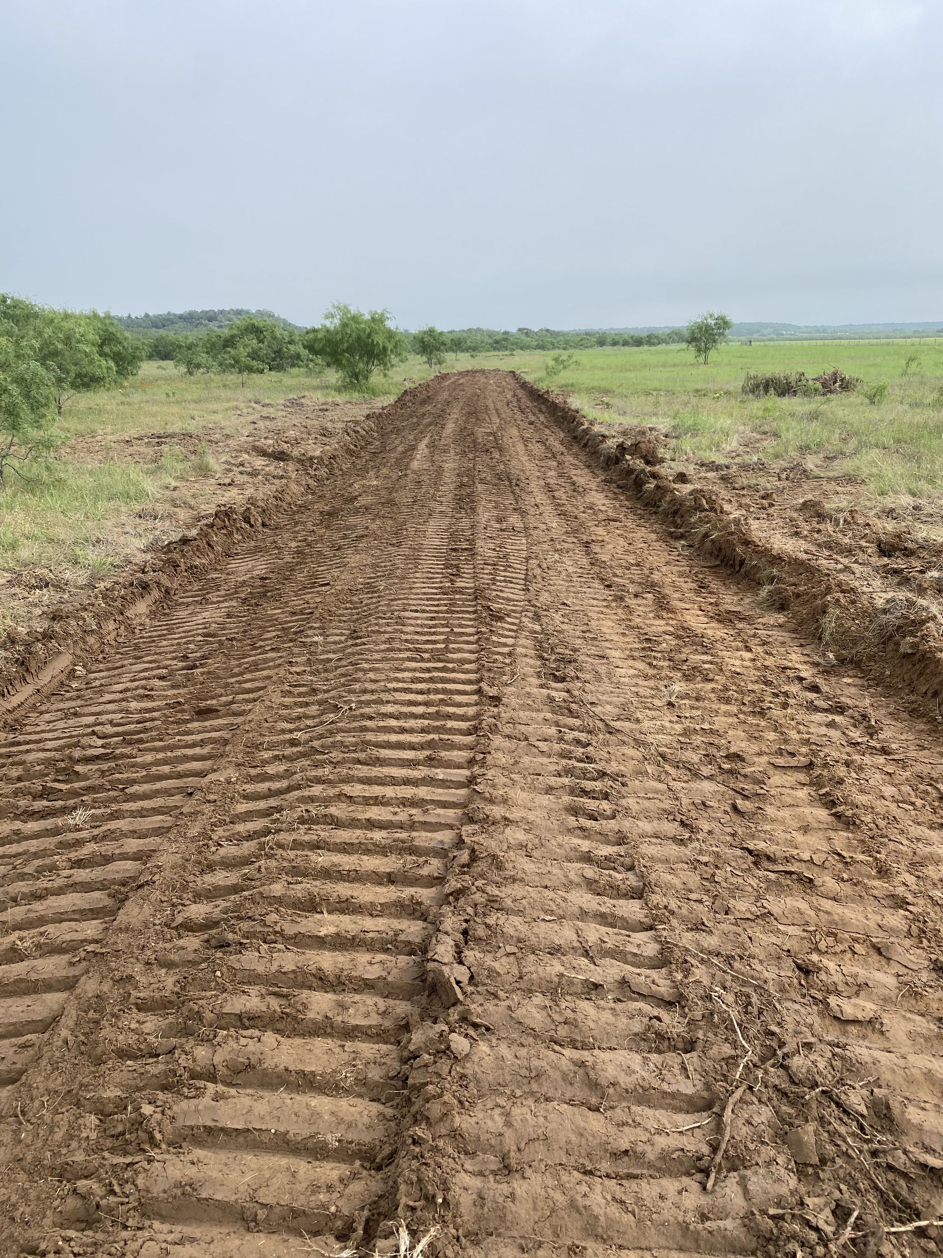 A dirt road with tire tracks in the middle of a field.