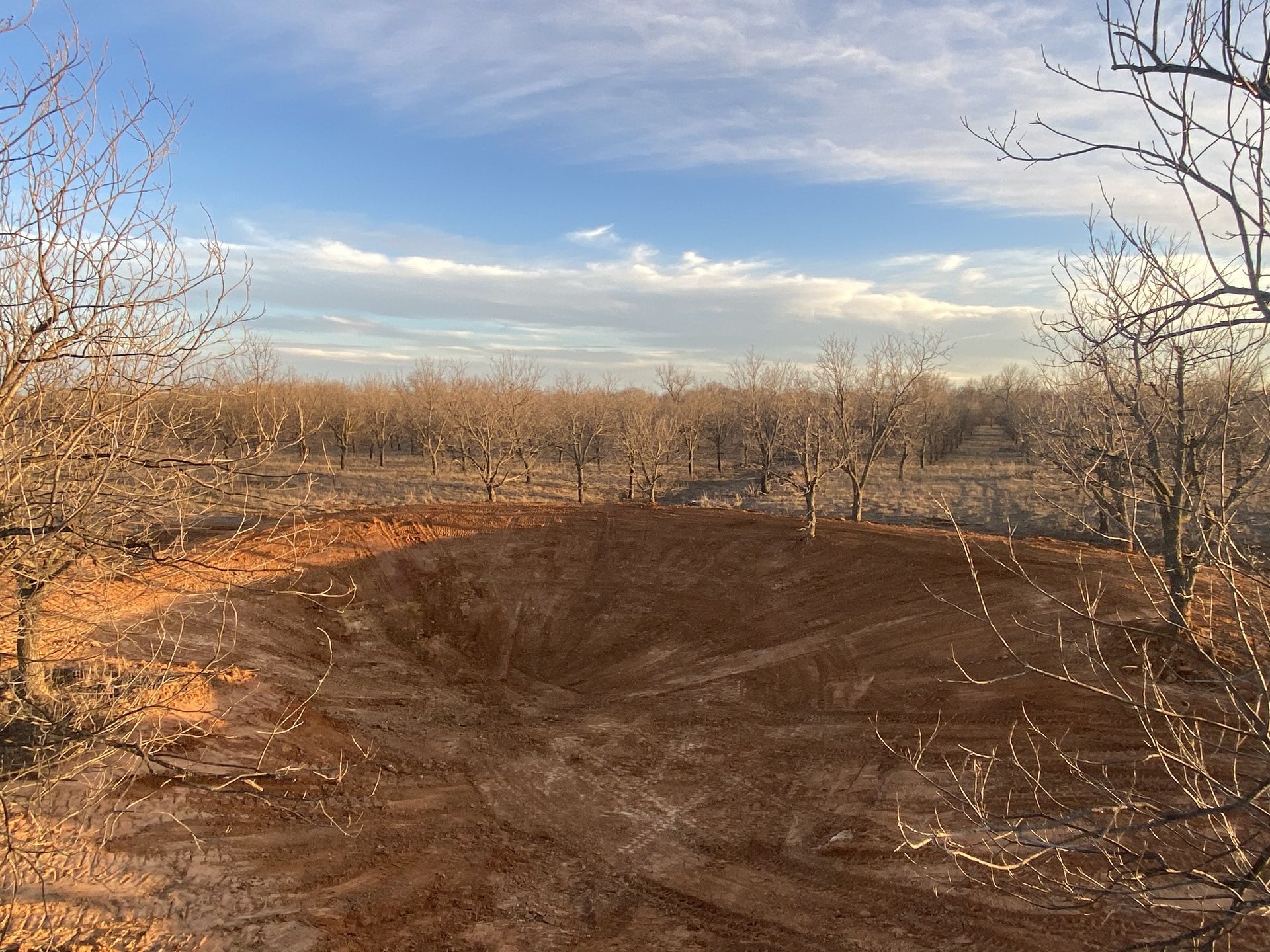 A dirt field with trees in the background and a blue sky
