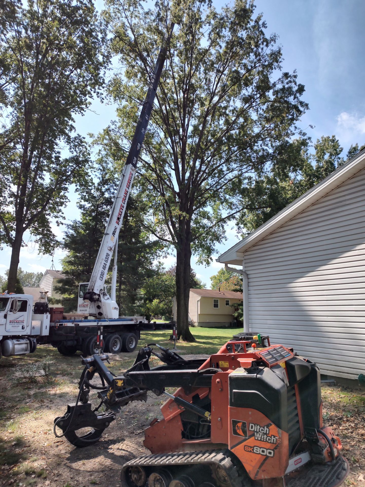 Tree Service in West Farmington OH