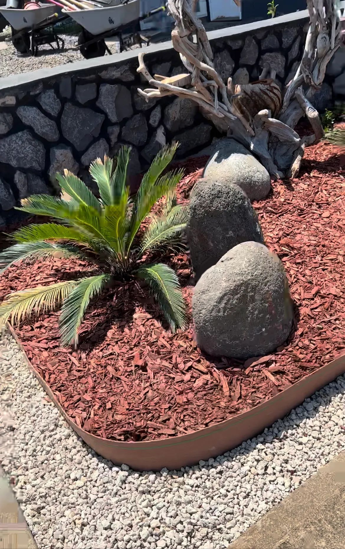 A garden with rocks , mulch and plants in front of a stone wall.