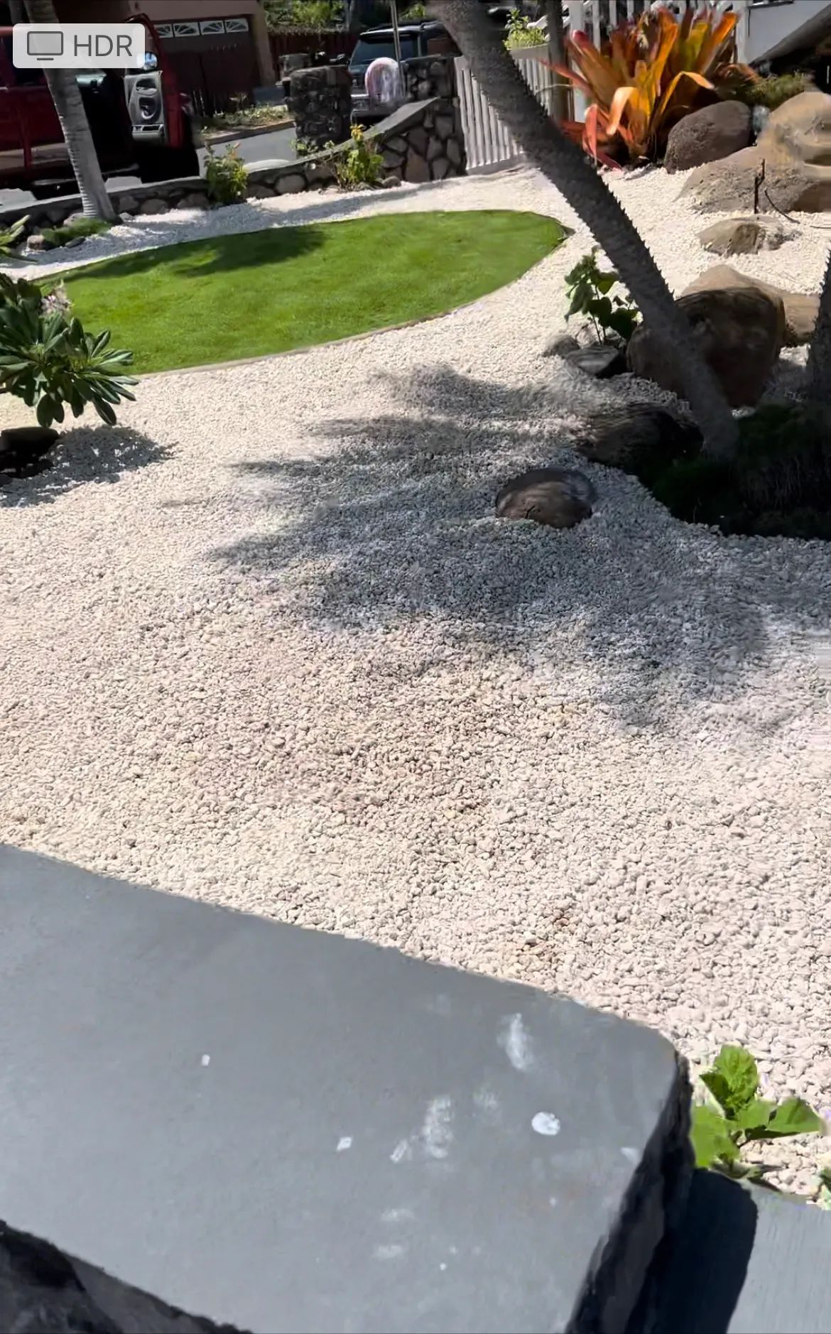 A garden with white gravel and a tree in the middle of it.