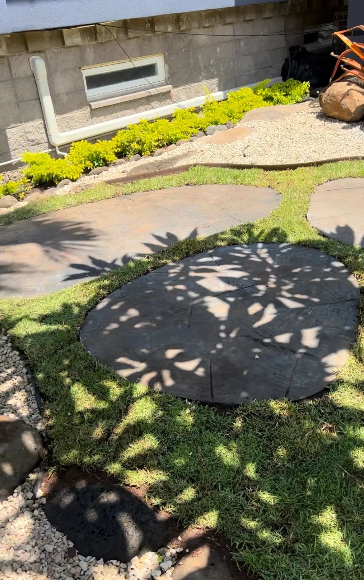 A shadow of a tree is cast on a stone walkway in a garden.