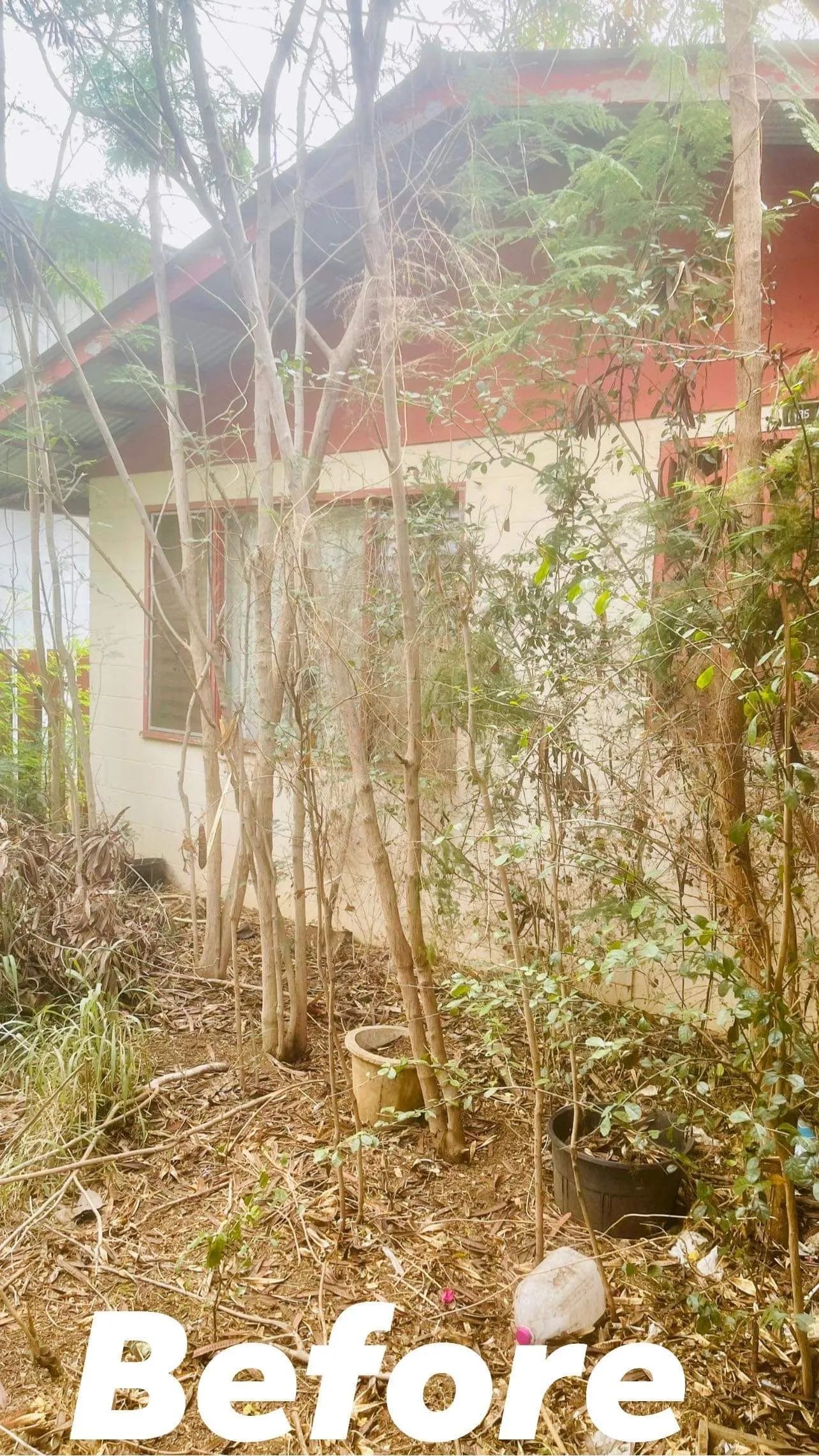 A before picture of a house with trees in front of it.