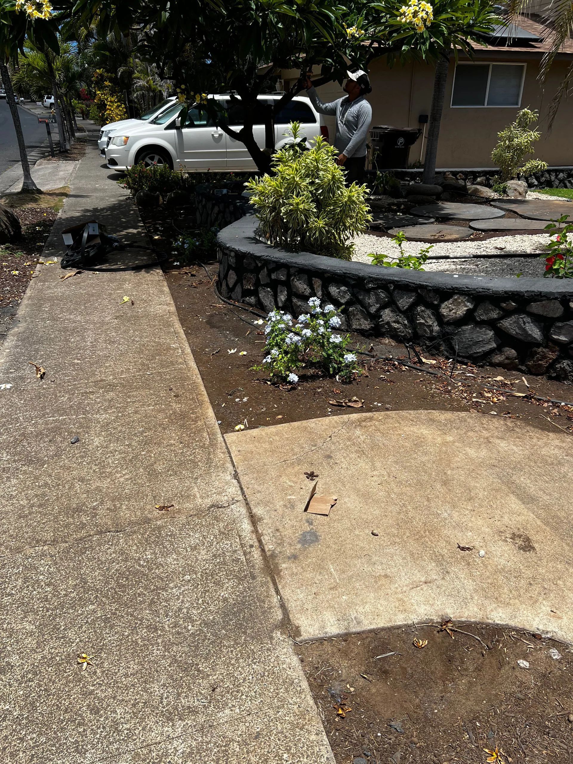 A man is standing on a sidewalk in front of a house.