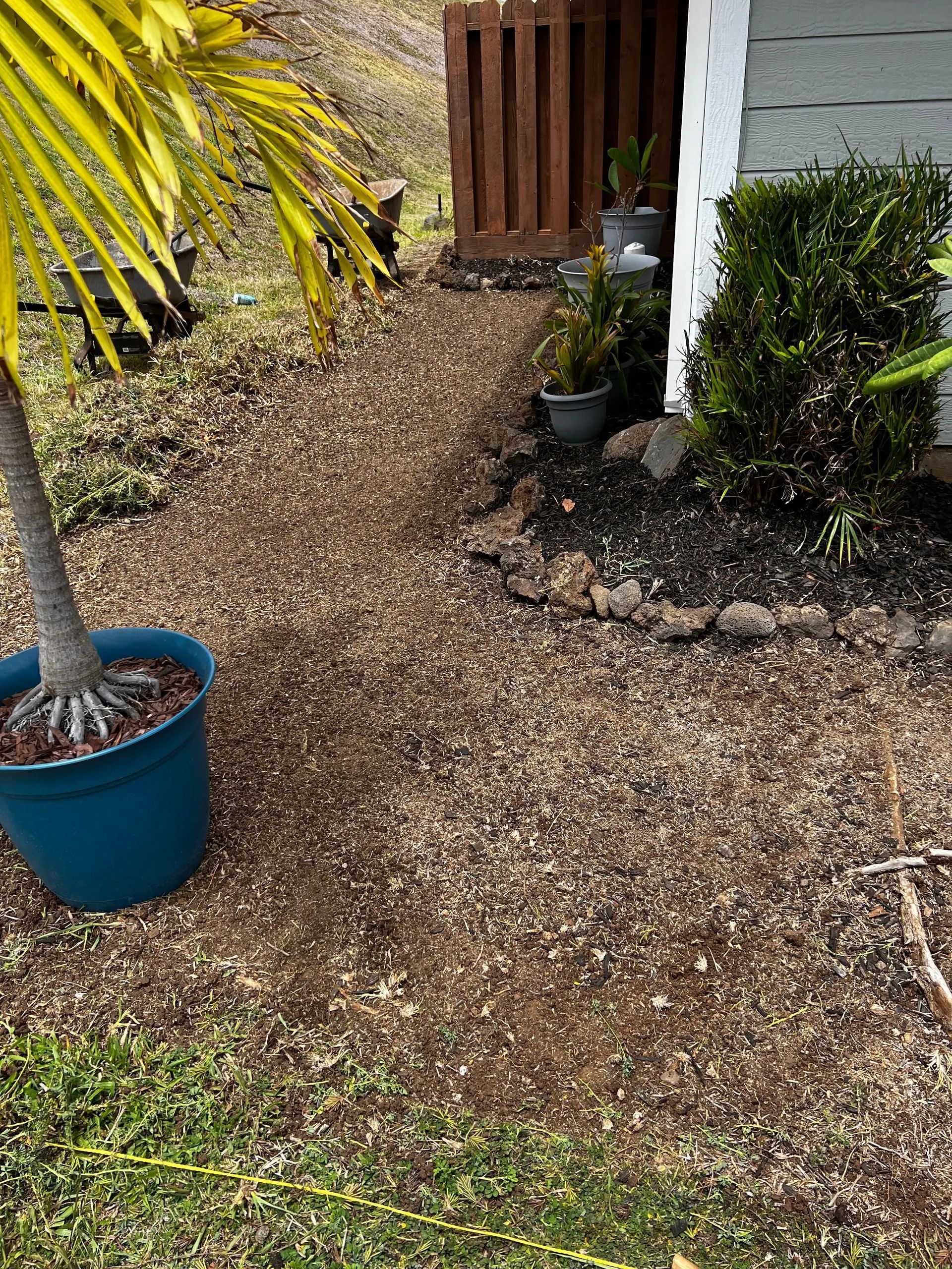 A blue potted plant is sitting on the ground in front of a house.