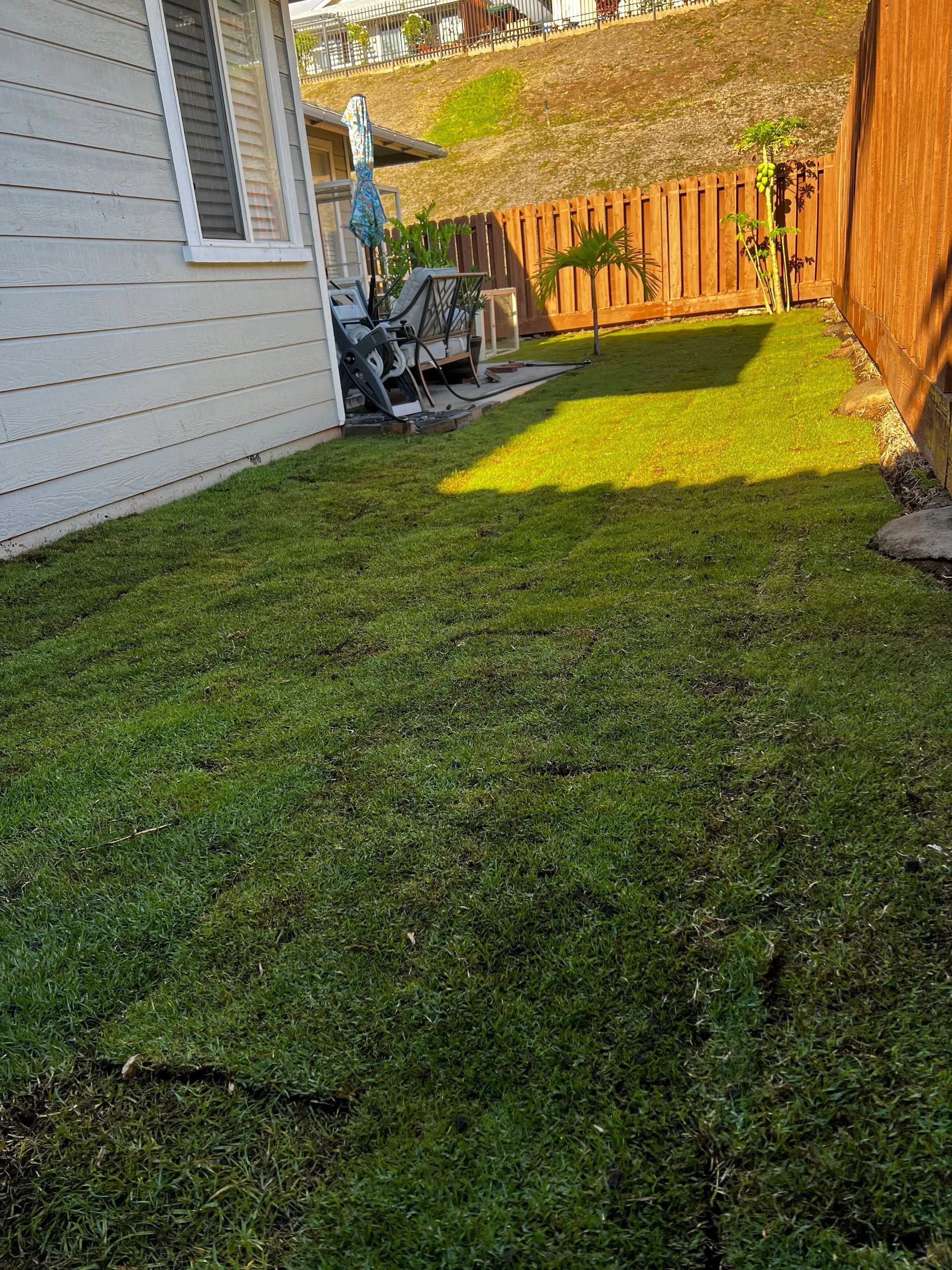 A lush green lawn in front of a house with a wooden fence.