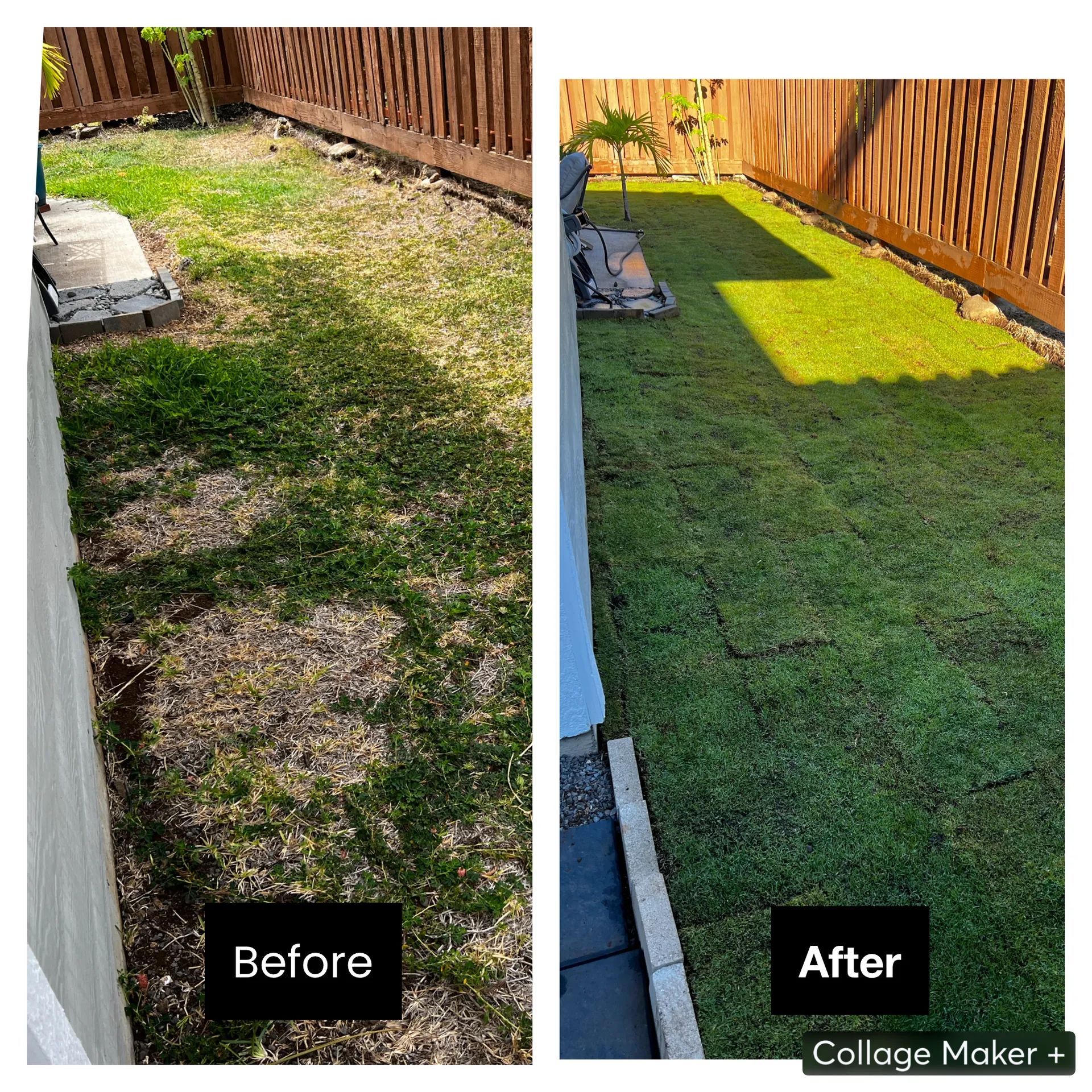 A before and after photo of a lawn with a wooden fence.