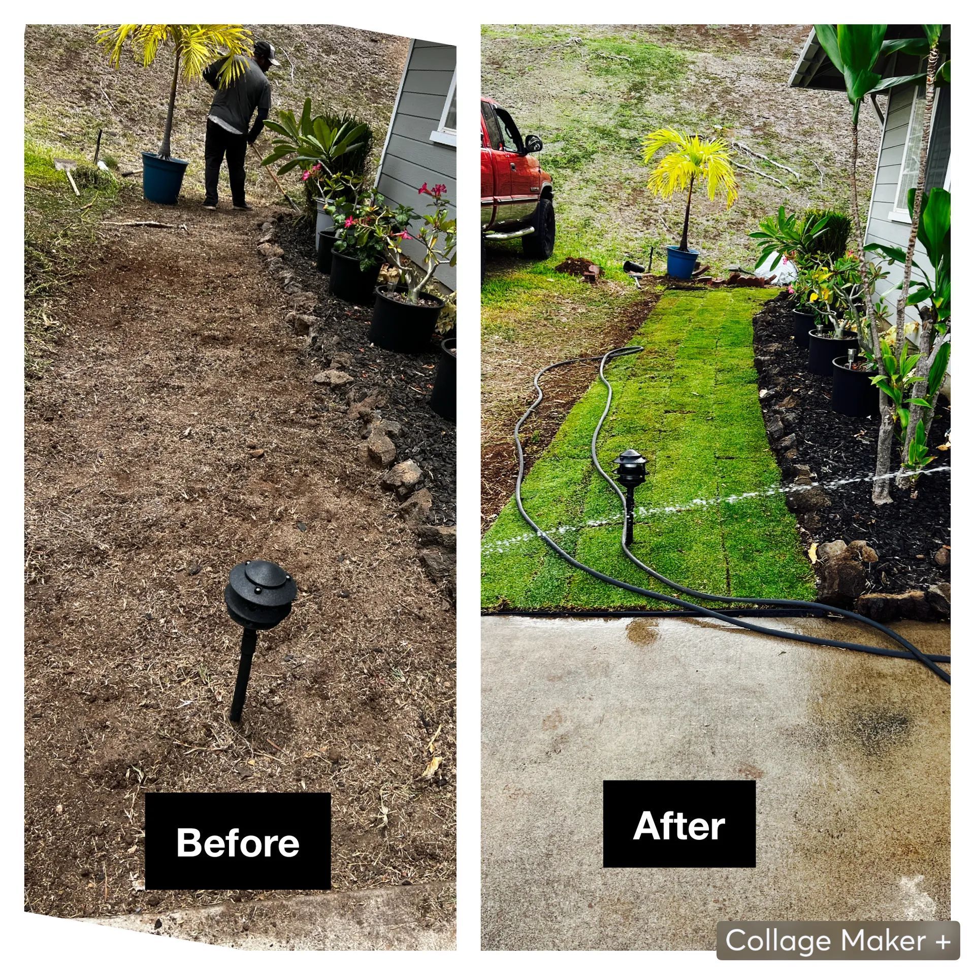 A before and after picture of a lawn with a sprinkler.