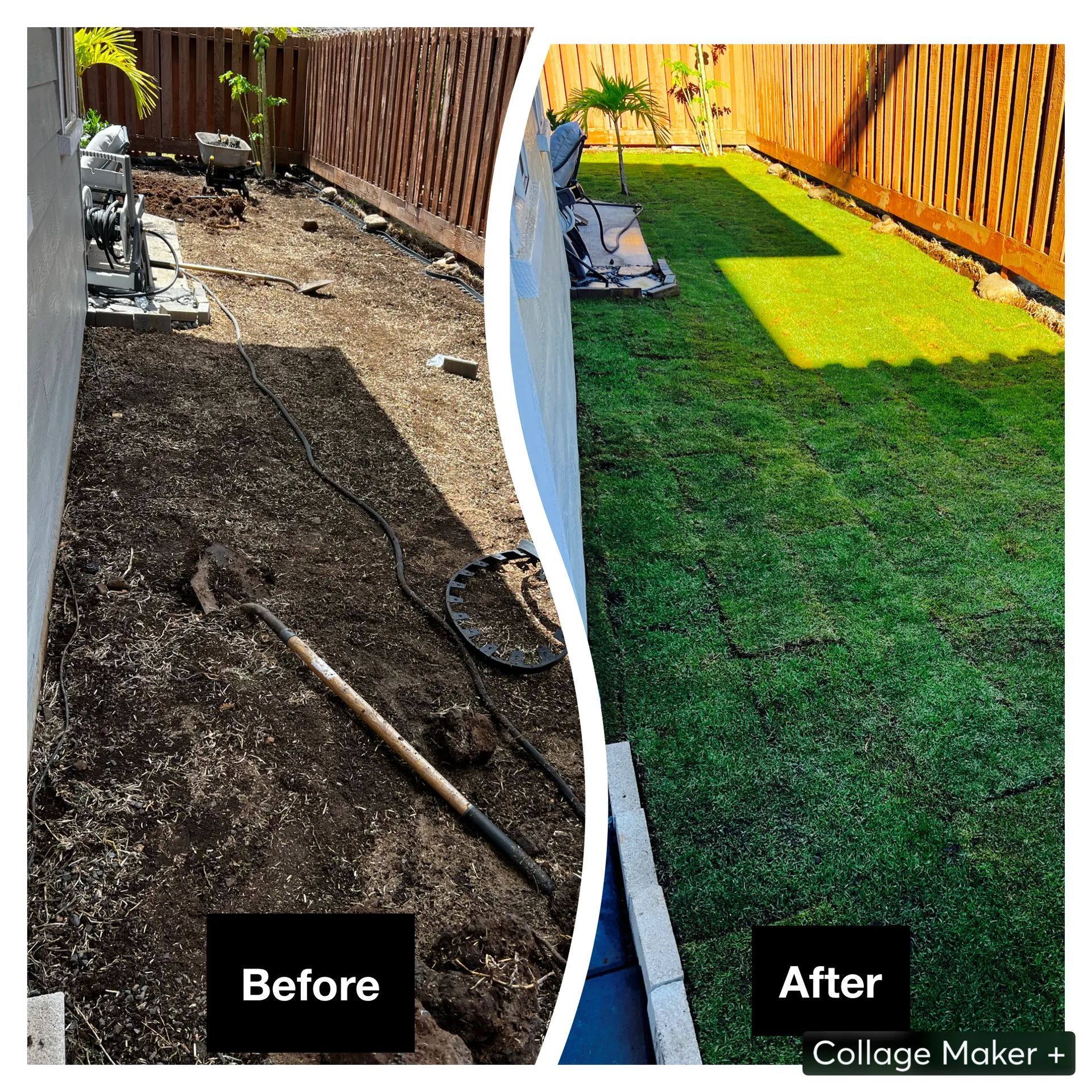 A before and after photo of a lawn with a fence.