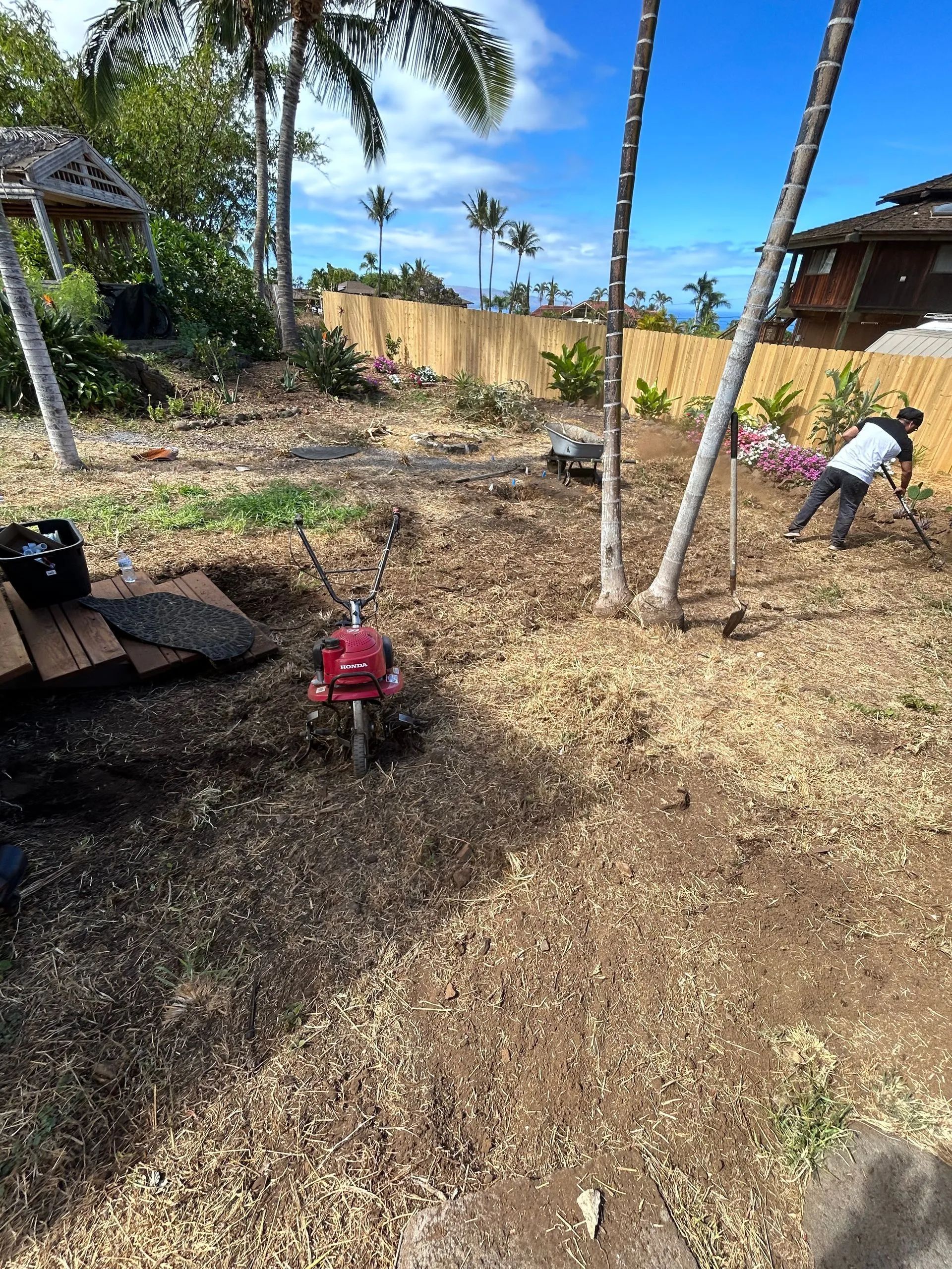 A man is digging in the dirt in a backyard.