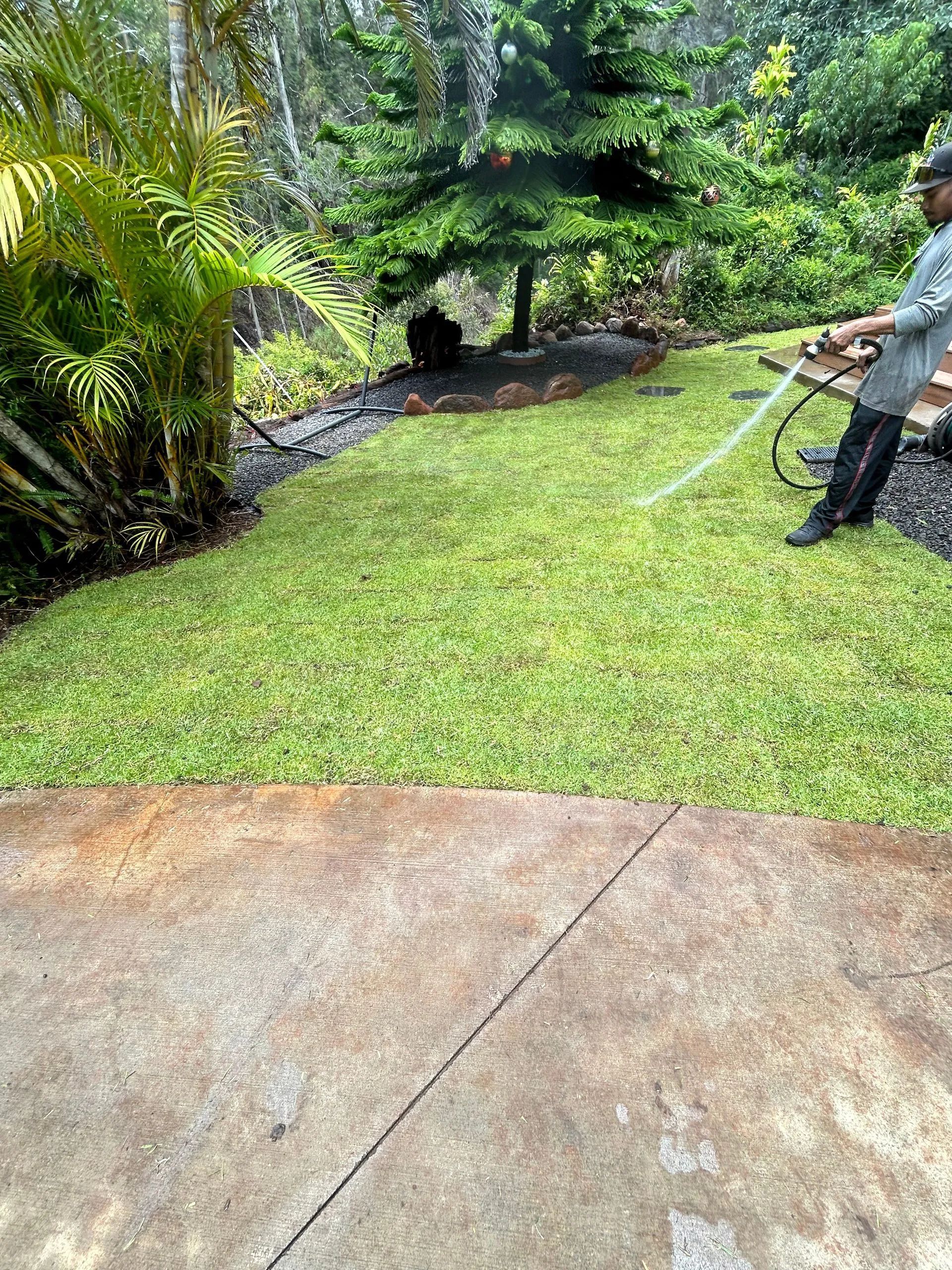 A man is spraying a lawn with a hose.