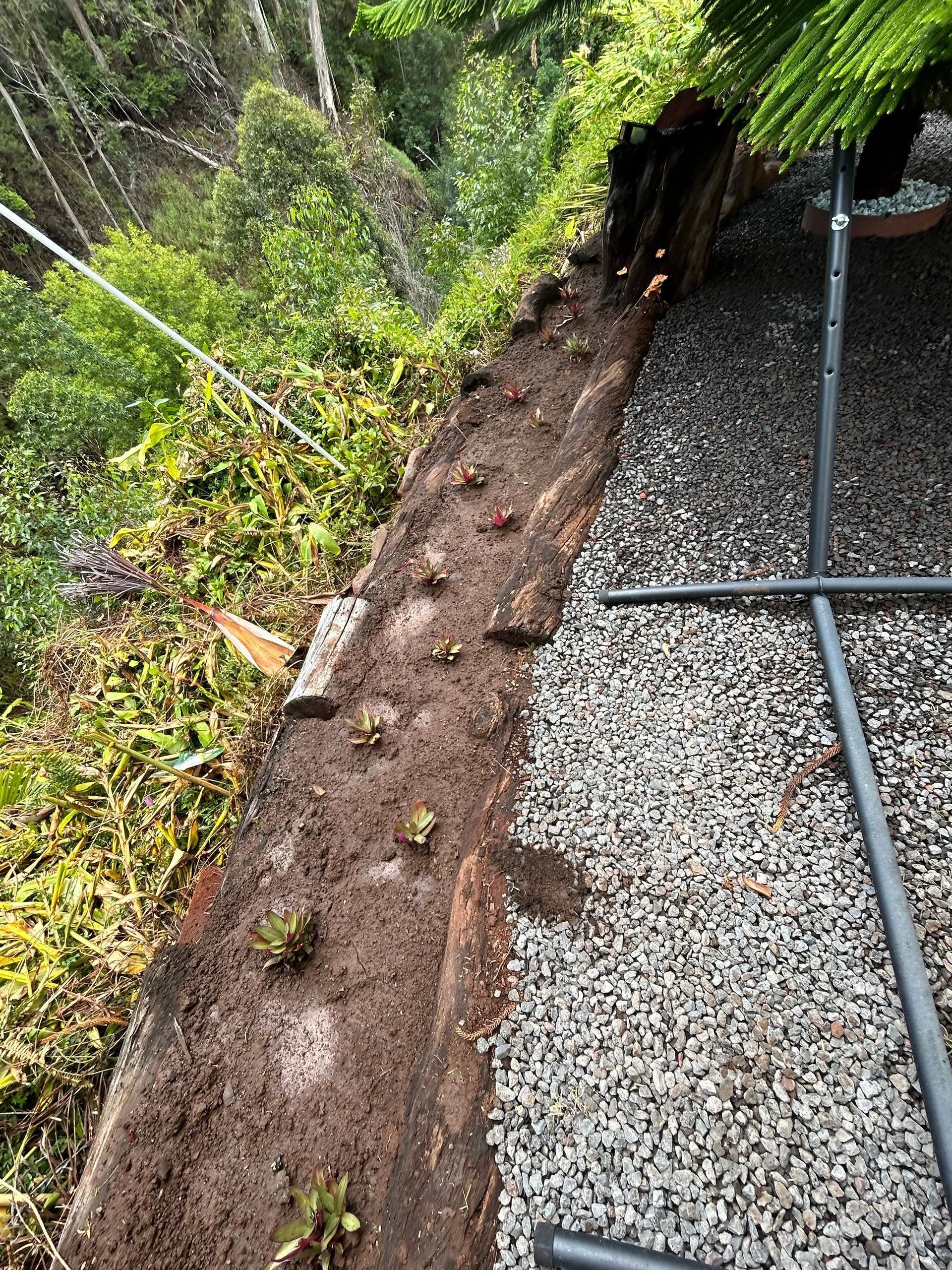 A gutter is sitting on top of a gravel path next to a tree.