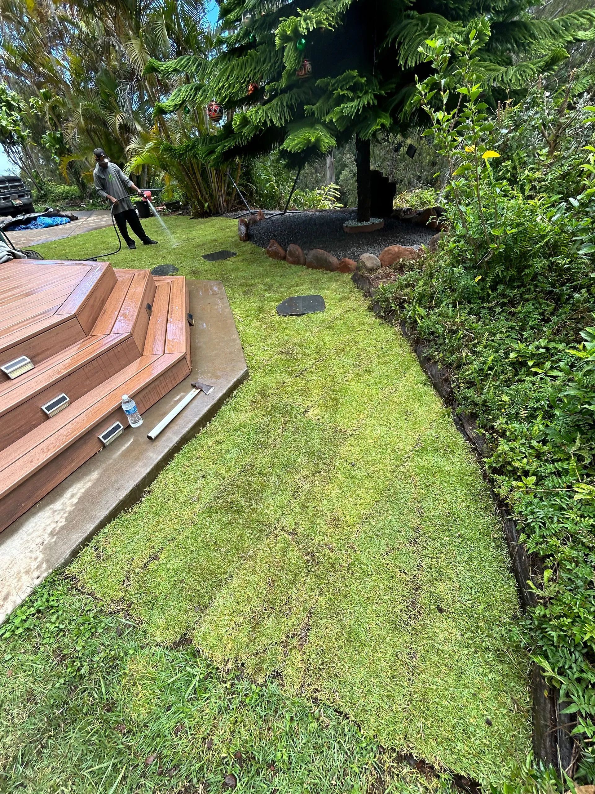 A man is standing in the middle of a lush green lawn.