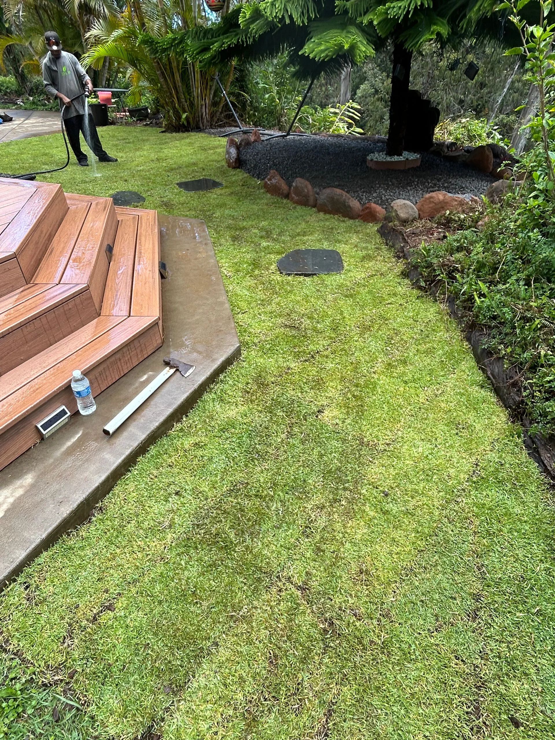 A man is standing in the middle of a lush green lawn.