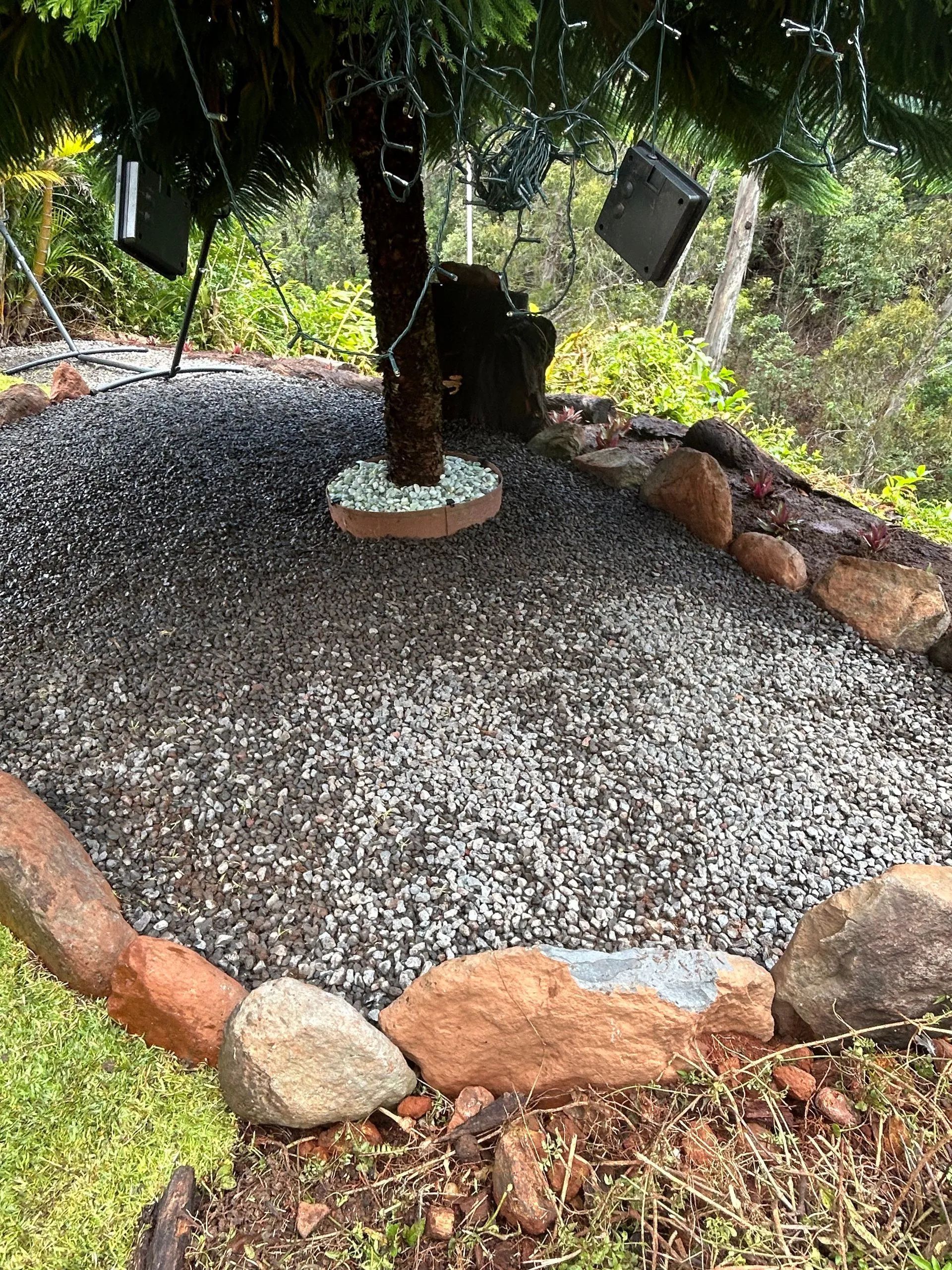 There is a tree in the middle of a gravel area surrounded by rocks.