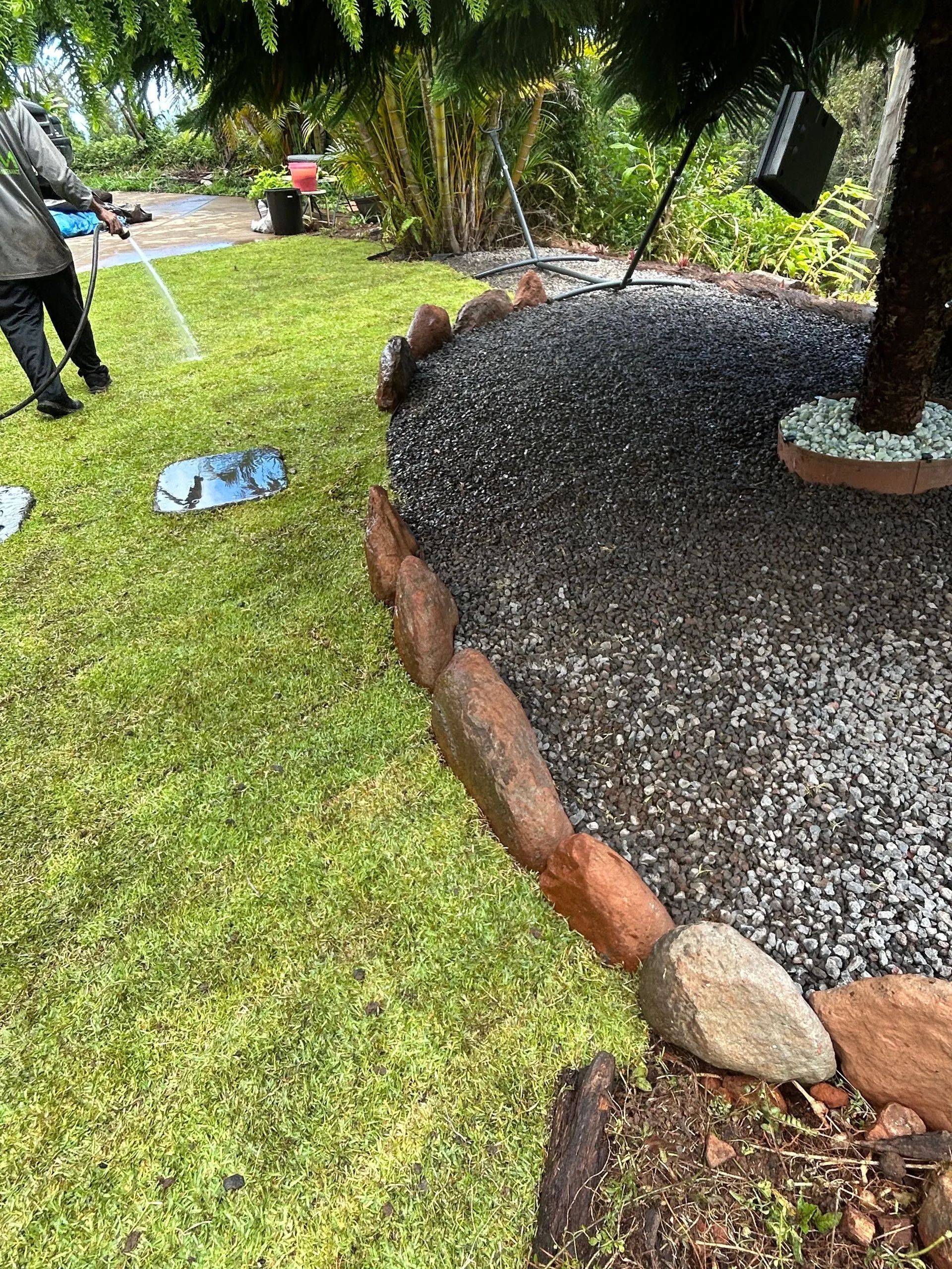 A man is watering a lawn with a hose.