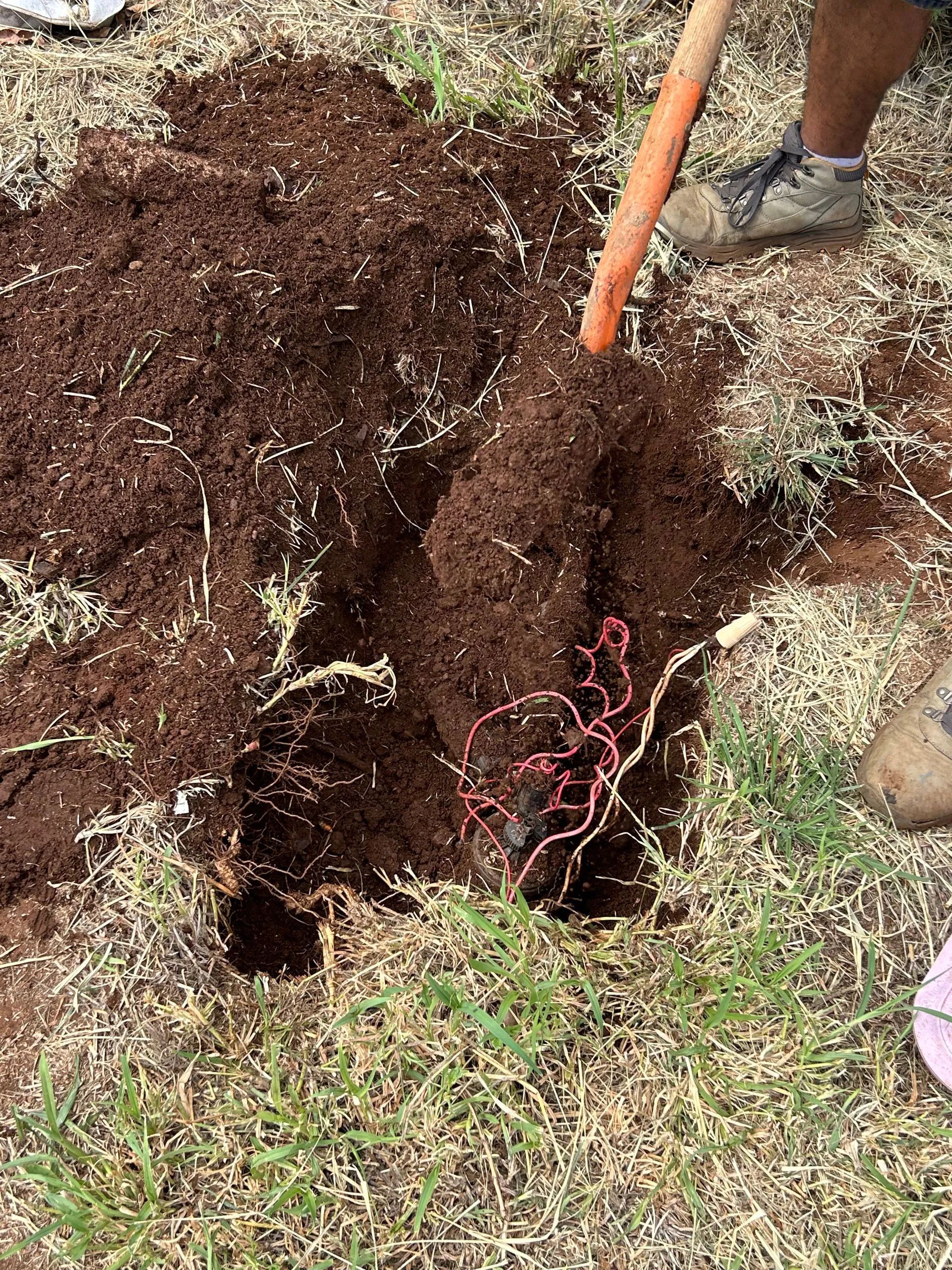 A person is digging a hole in the ground with a shovel.