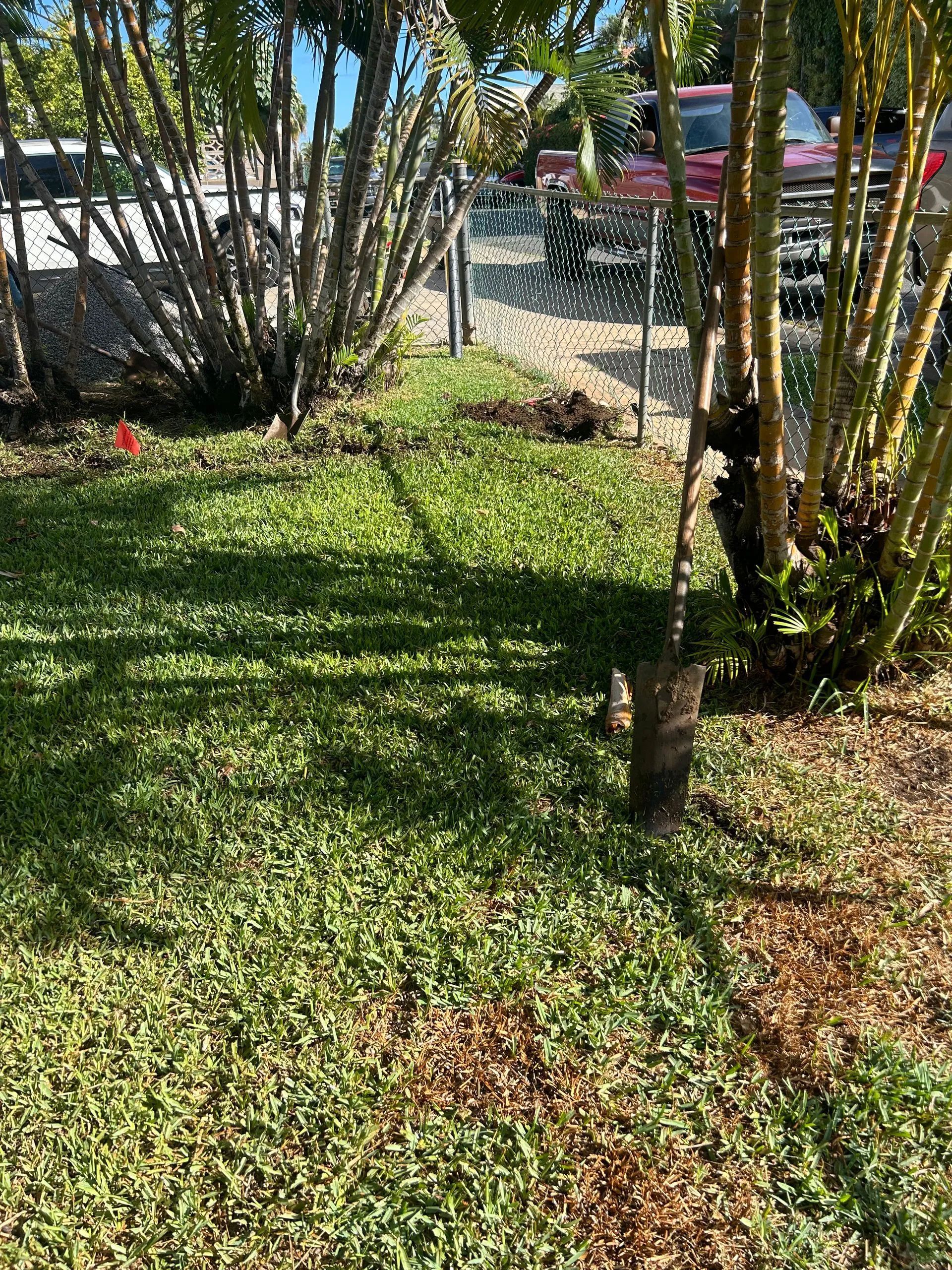 A lush green lawn with a fence and trees in the background.