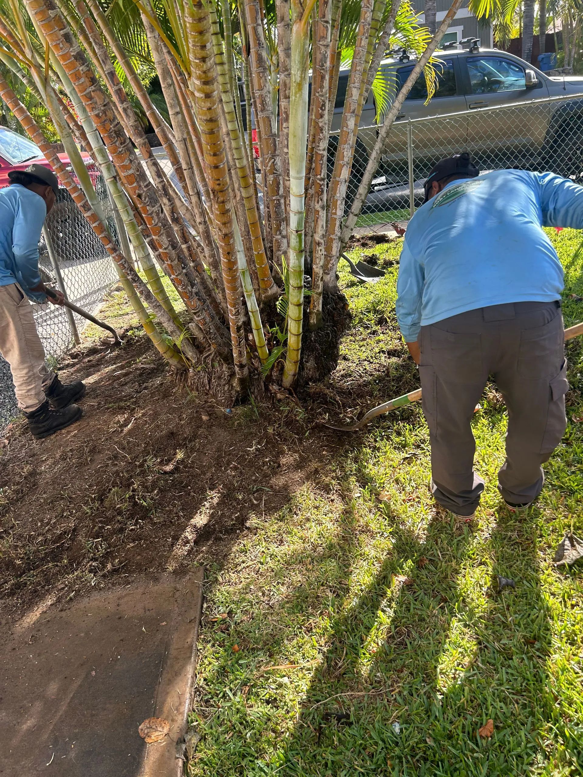 Two men are working in a garden with a shovel and rake.