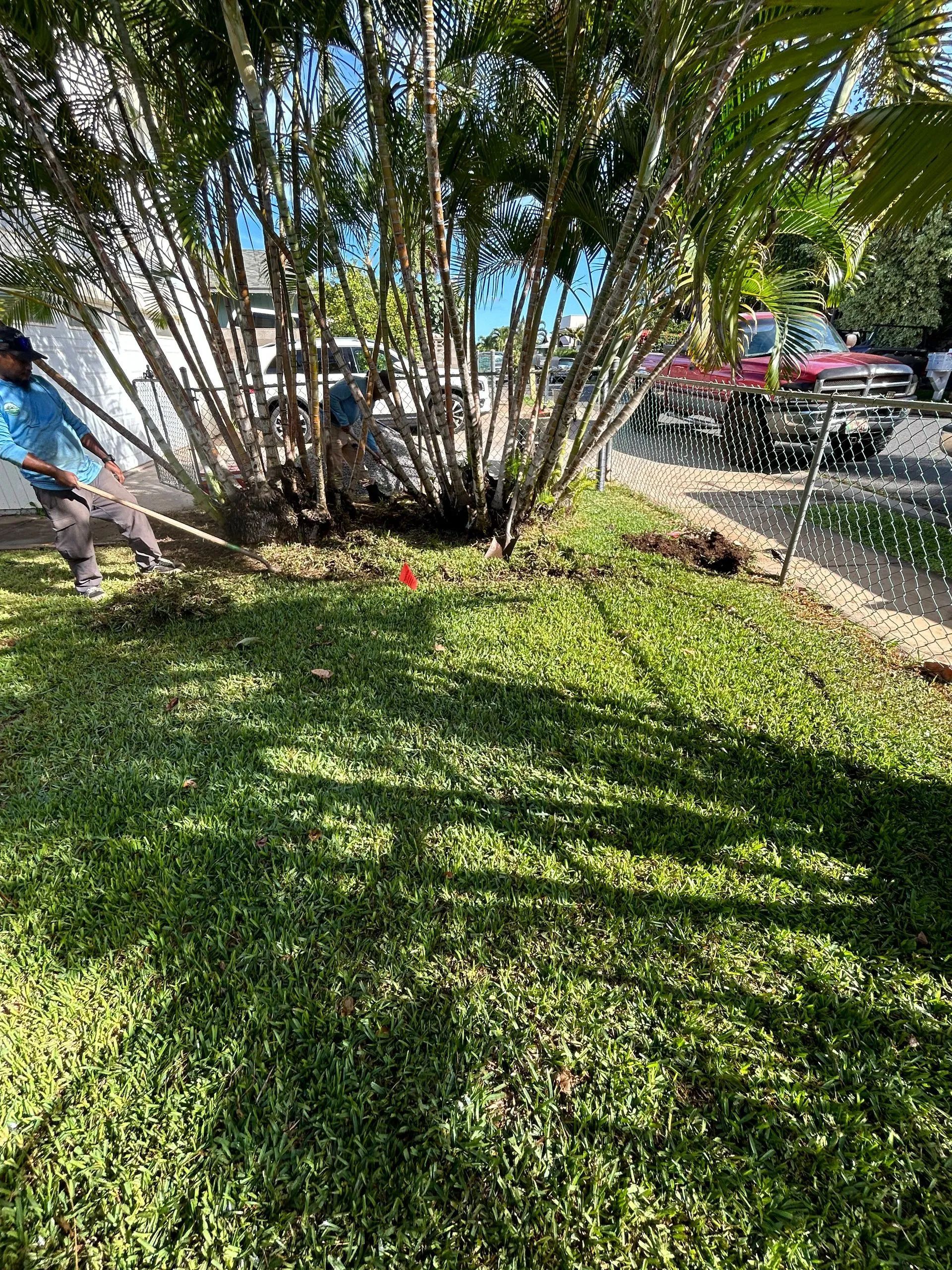 A man is cutting a tree in a yard with a lawn mower.