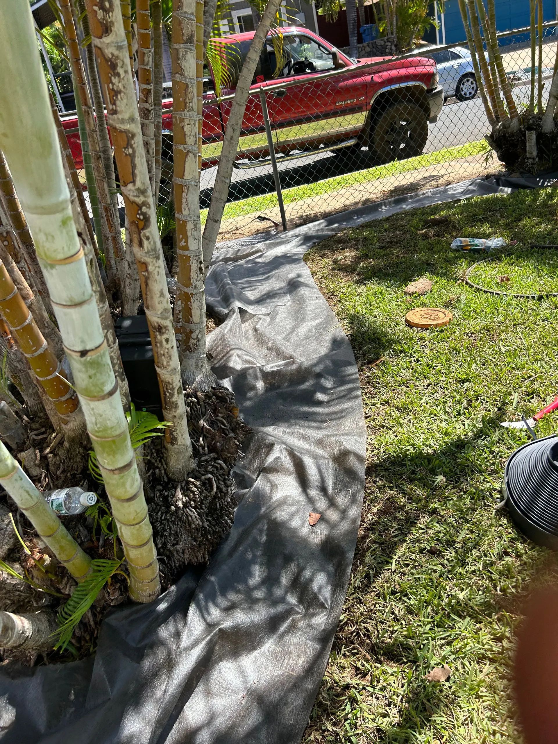A red truck is parked in the grass next to a tree.