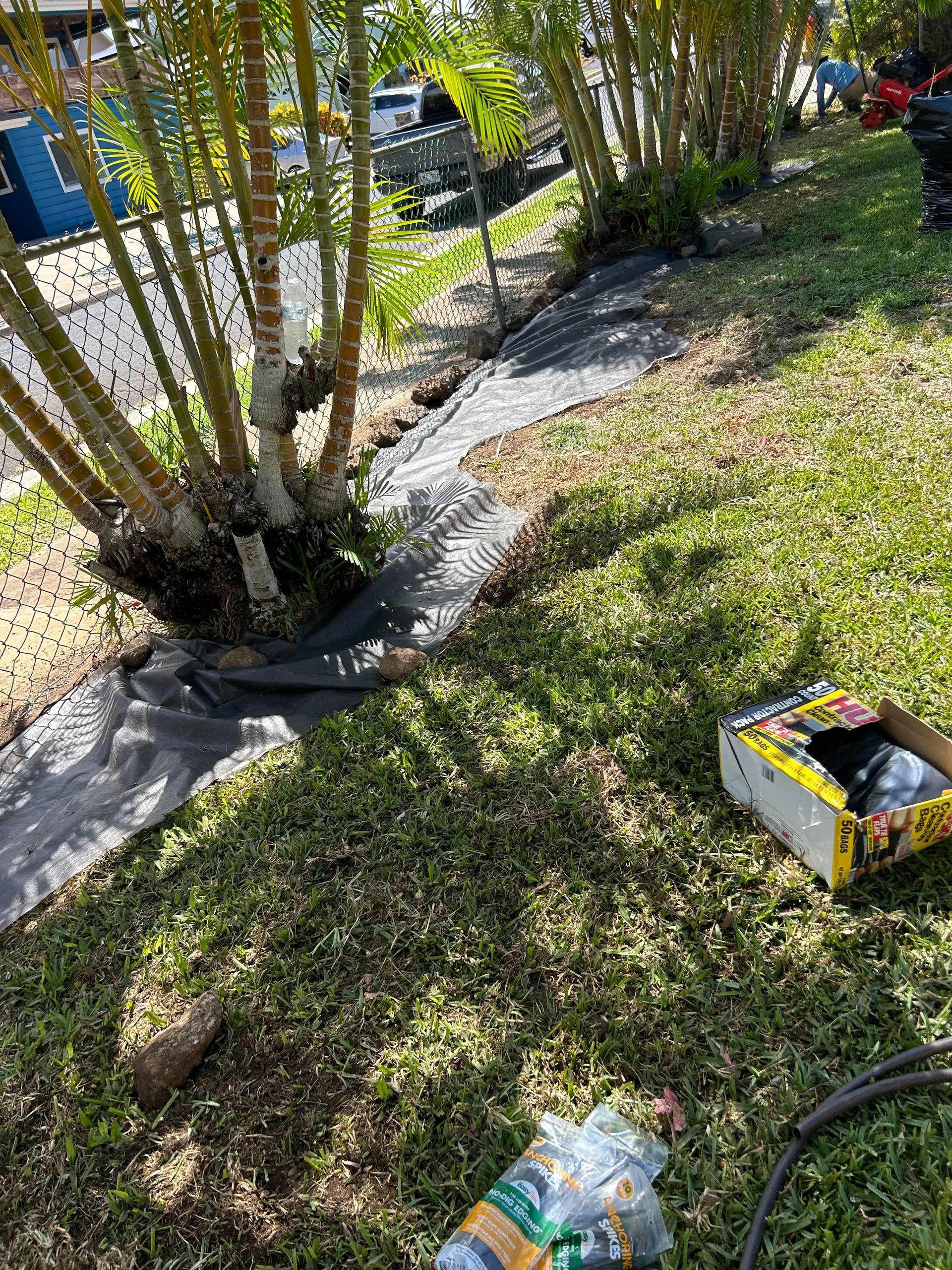 A box of bananas is sitting on the grass next to a hose.