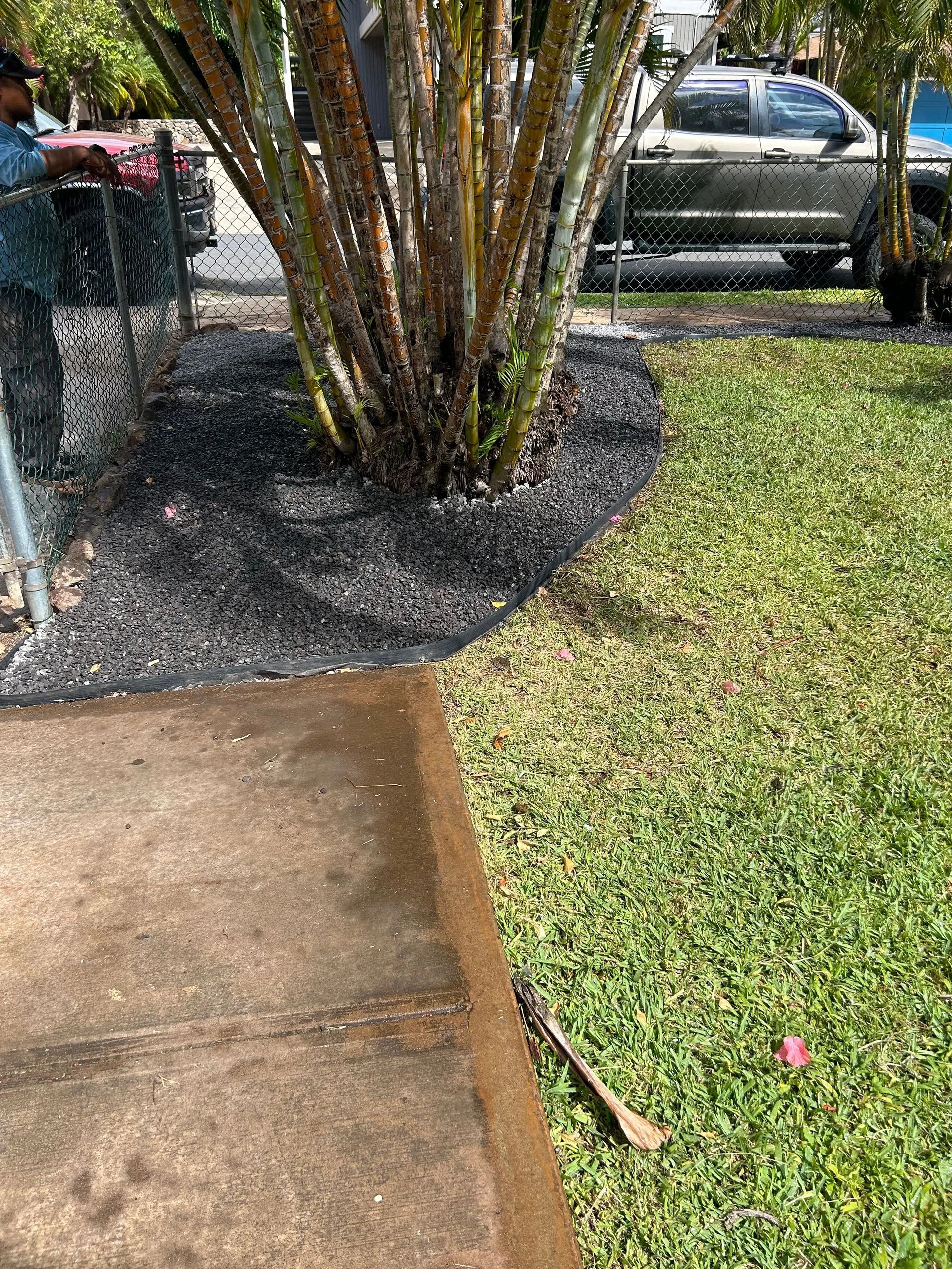 A man is standing next to a tree in a yard.