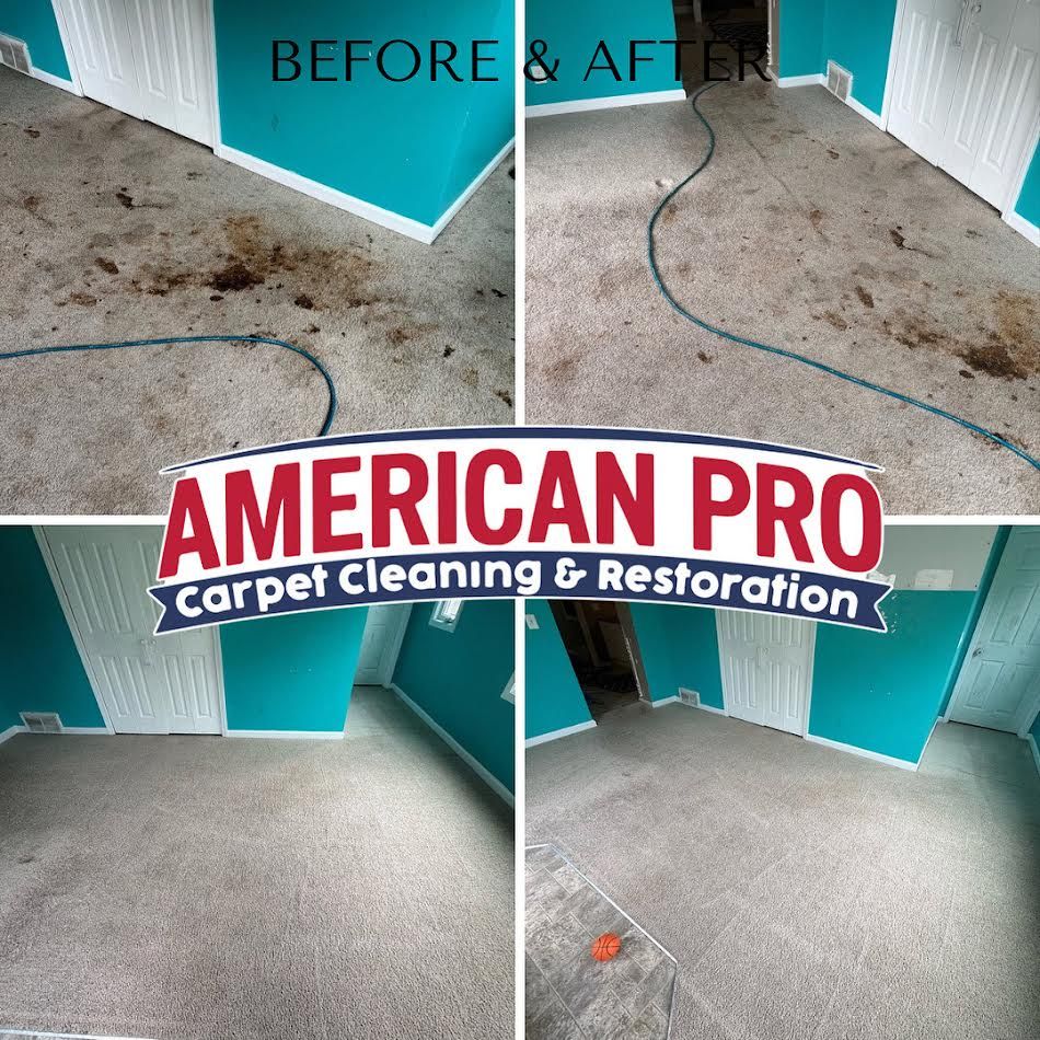 Before and after carpet cleaning service. Dirty carpet turns clean, showing results of restoration.