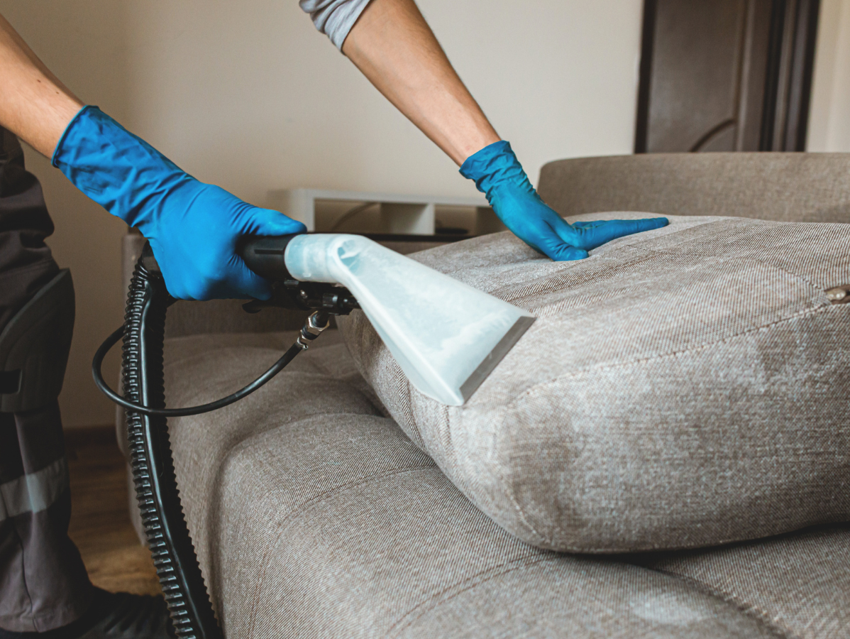 A person in blue gloves steam cleans a light-colored sofa with a cleaning wand.
