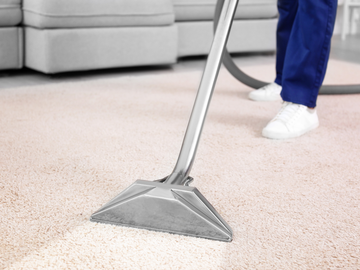 Person vacuuming a light-colored carpet with a professional cleaning tool; a section of the carpet appears cleaner after being vacuumed.