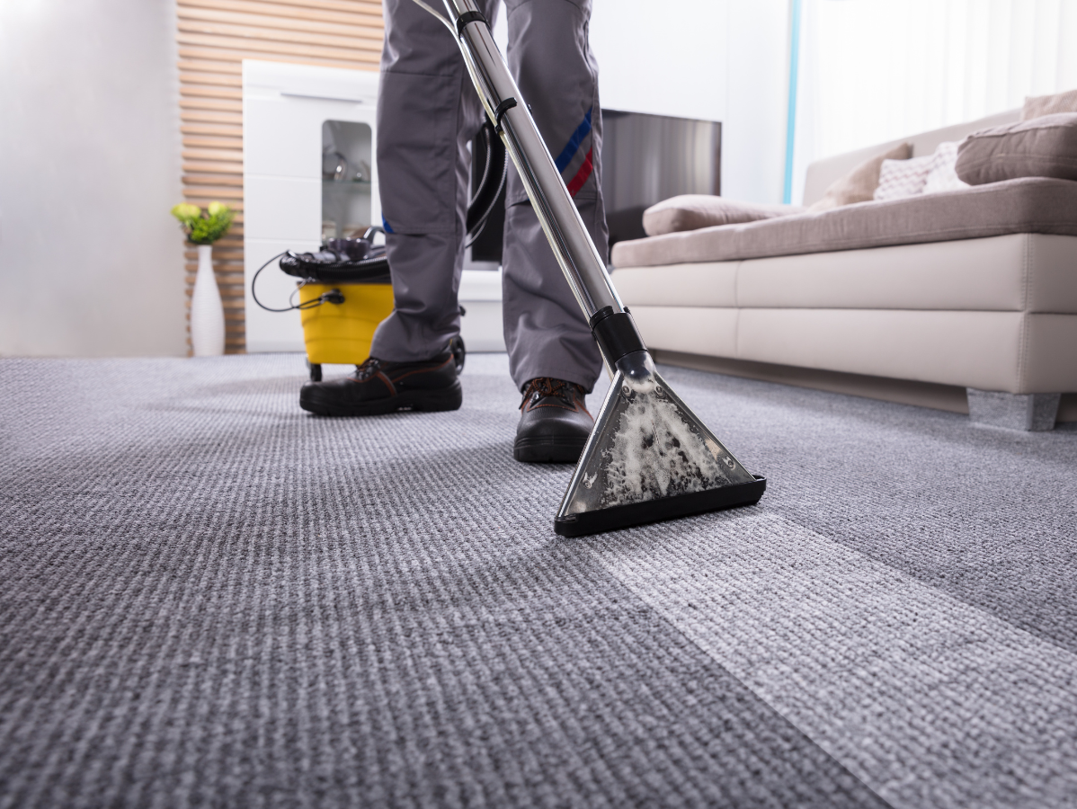 Person cleaning a grey carpet with a carpet cleaning machine in a living room.