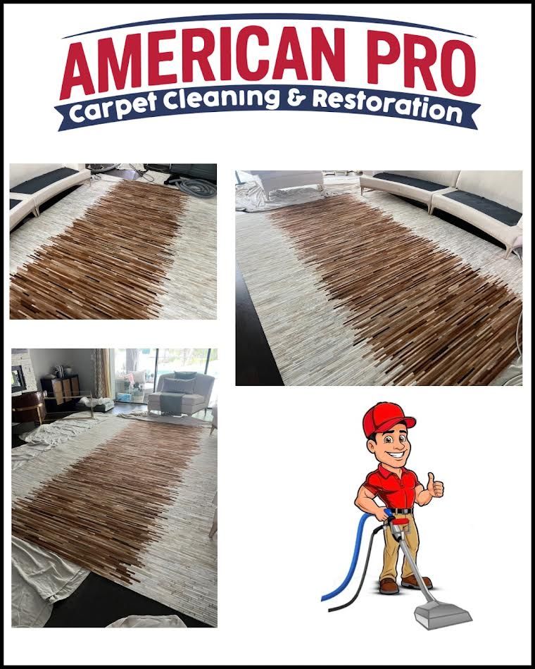 American Pro carpet cleaning service showcasing a stained carpet, and a technician with cleaning equipment.