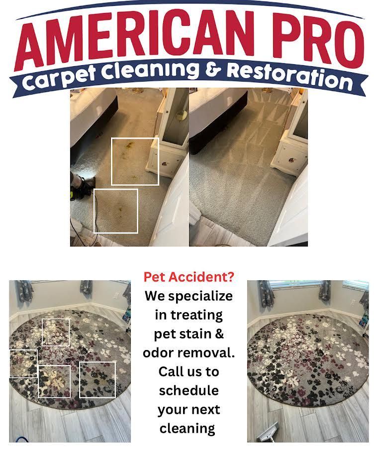 Before and after carpet cleaning service advertisement. Shows stain removal results from pet accidents.